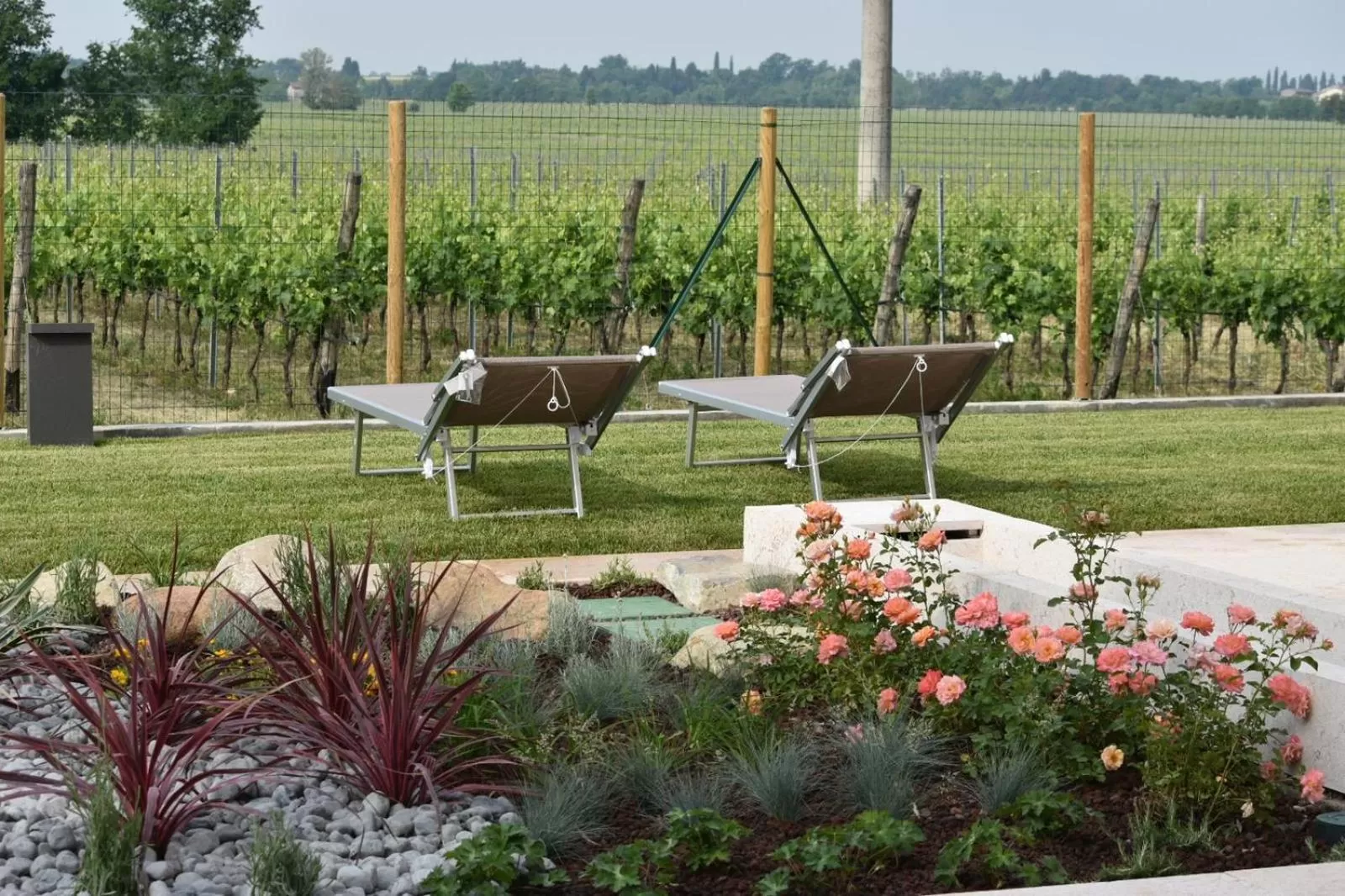 Garden in Il Vigneto