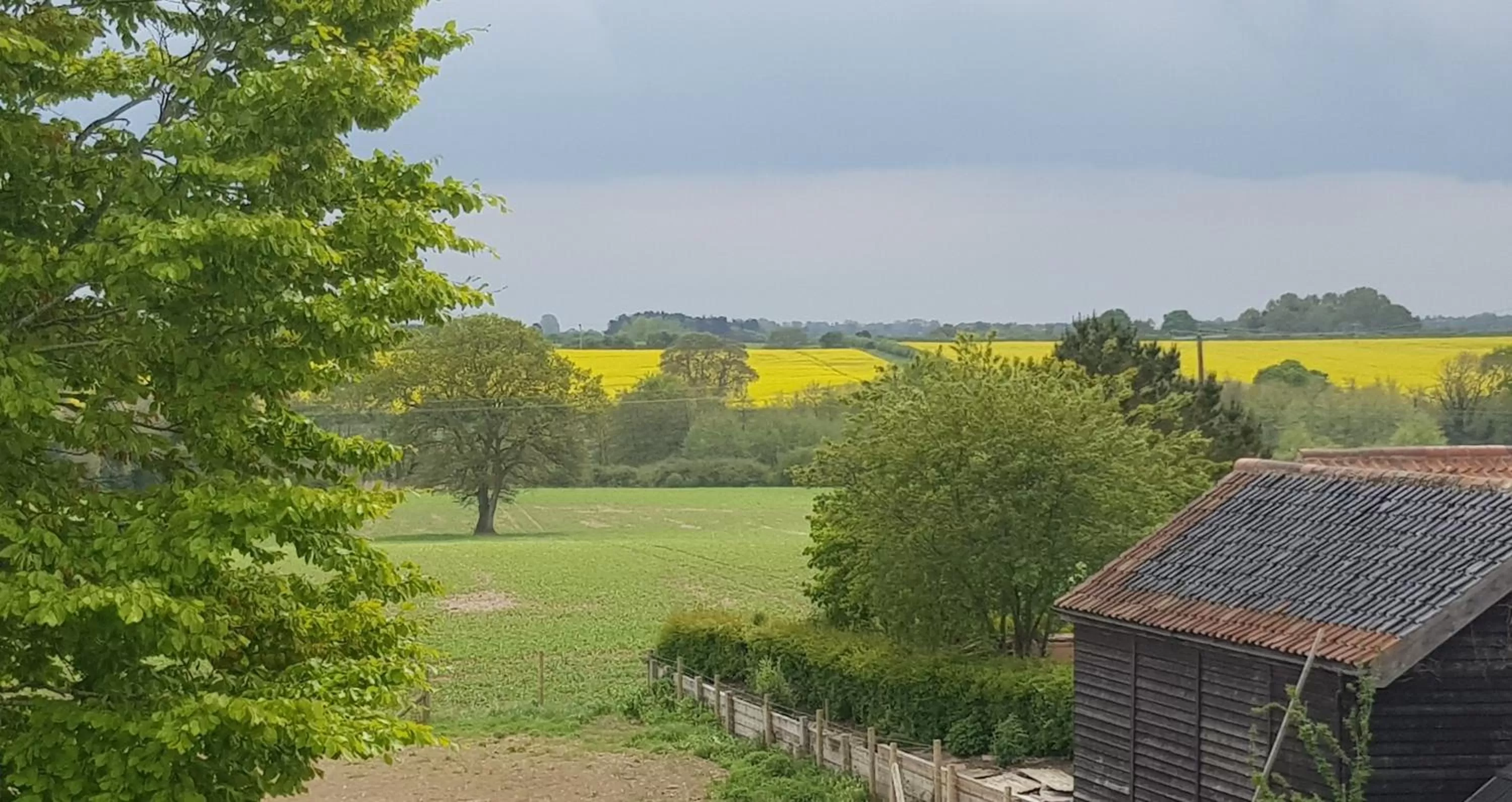 Garden view in Keepers Cottage Guest House