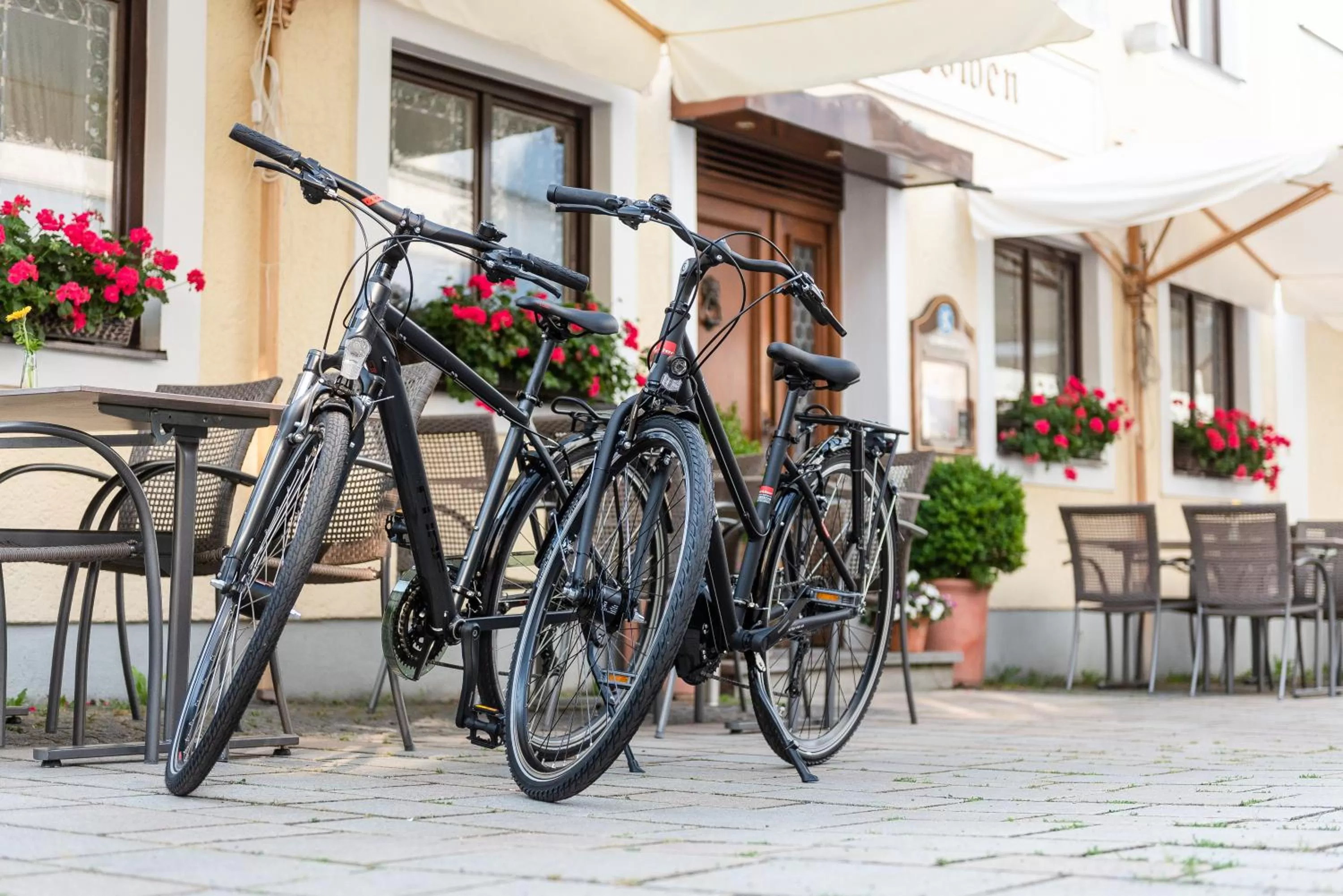 Cycling, Biking in Hotel zum Löwen