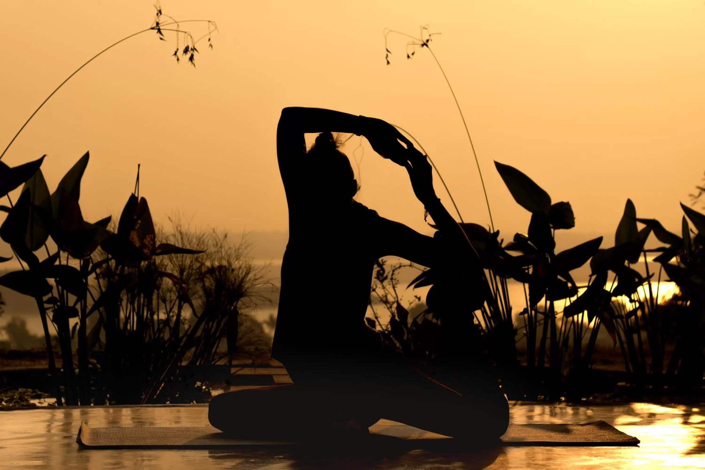 Hanchey Bamboo Resort