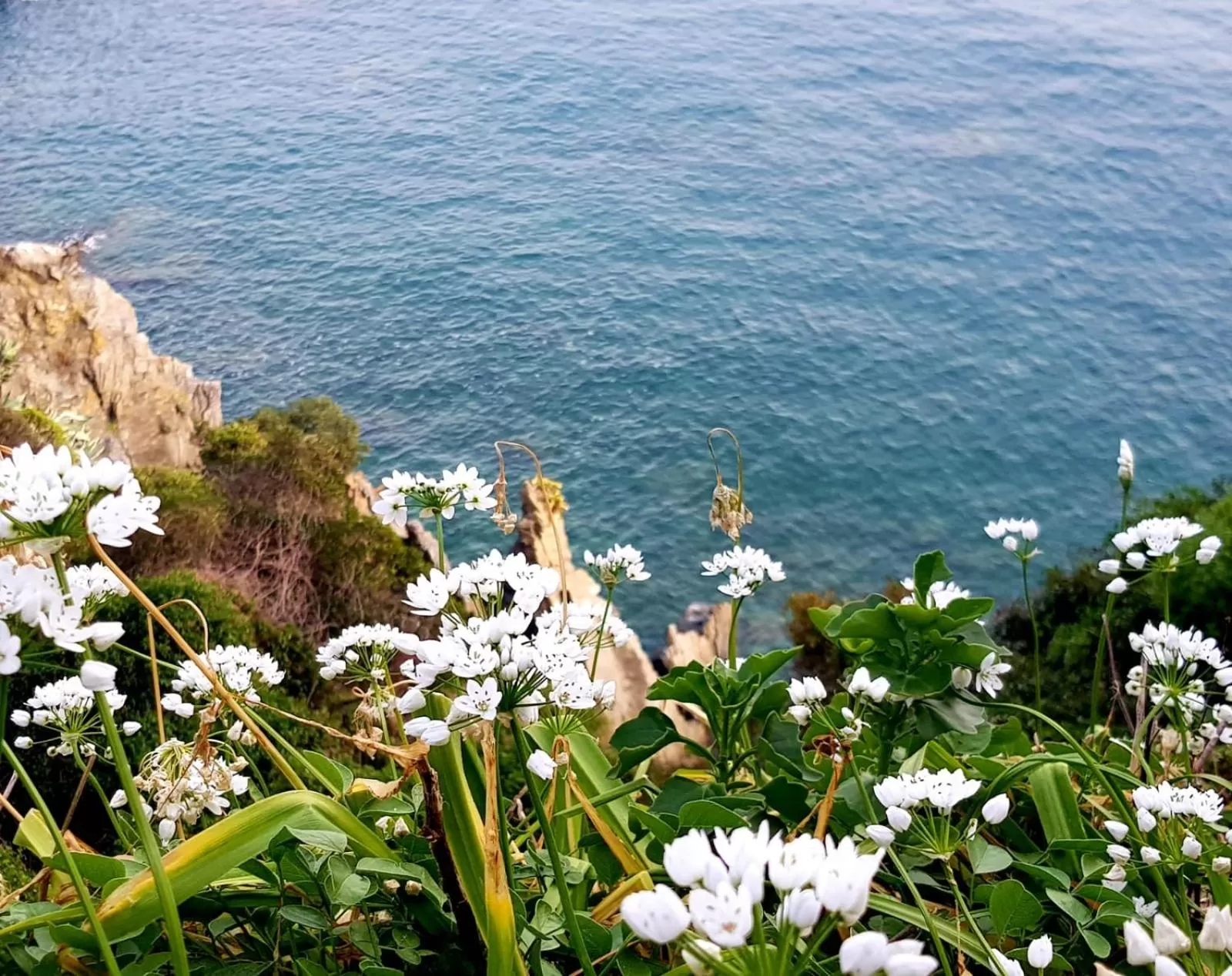 Garden view in Grand Hotel Dei Castelli