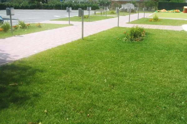 Property building in Hotel Ruffirio