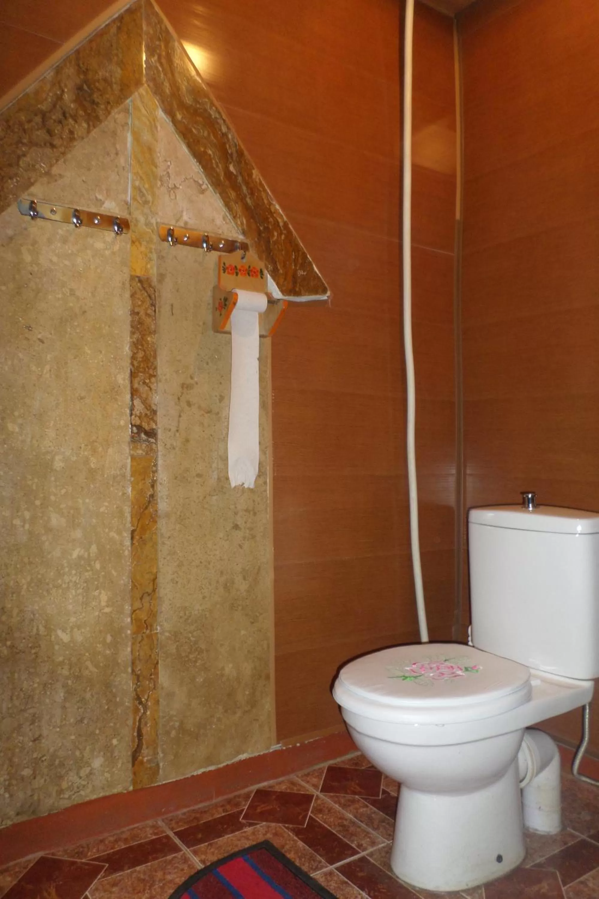 Toilet, Bathroom in Spandaryan House