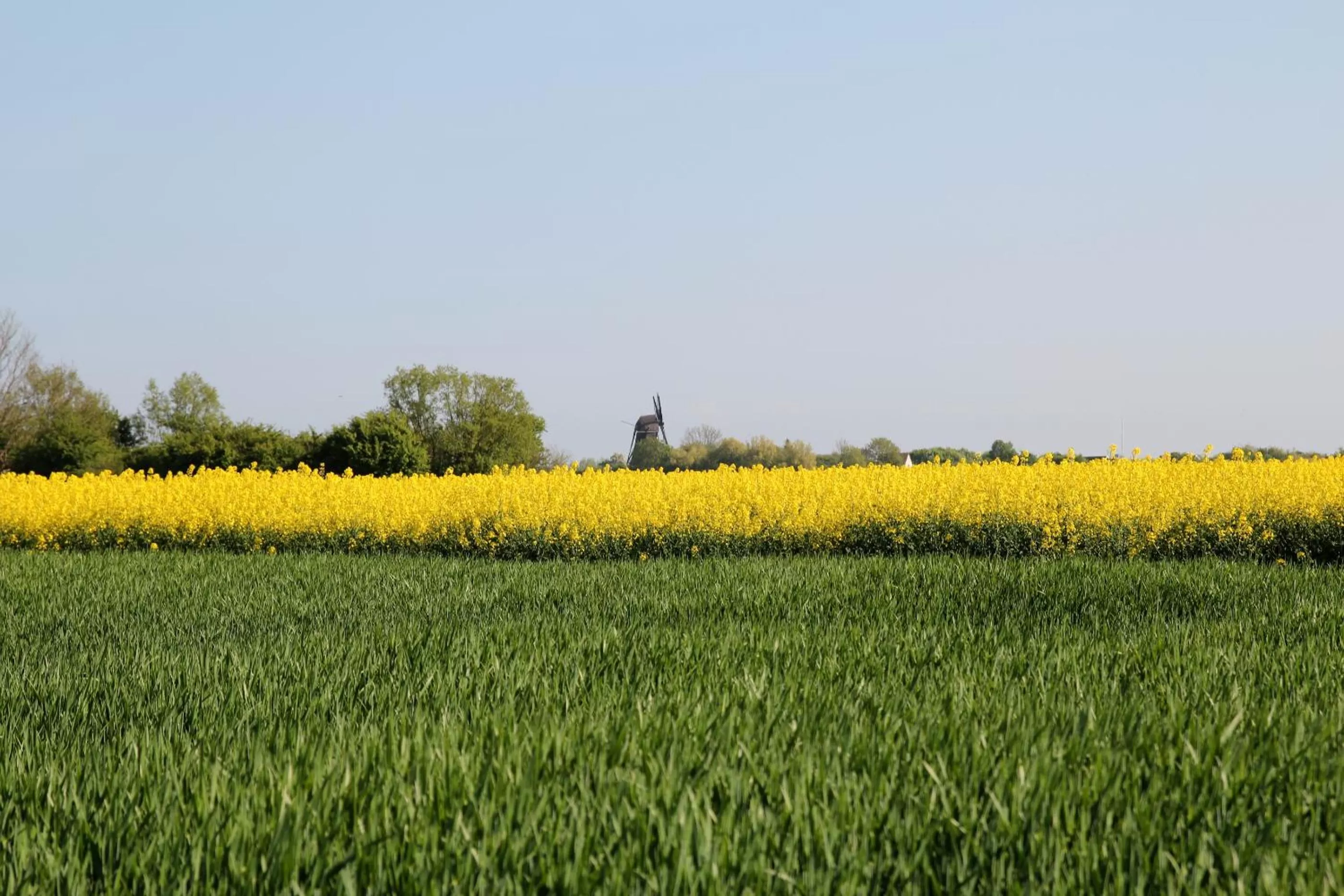 Property building in Avalon Hotel Bellevue