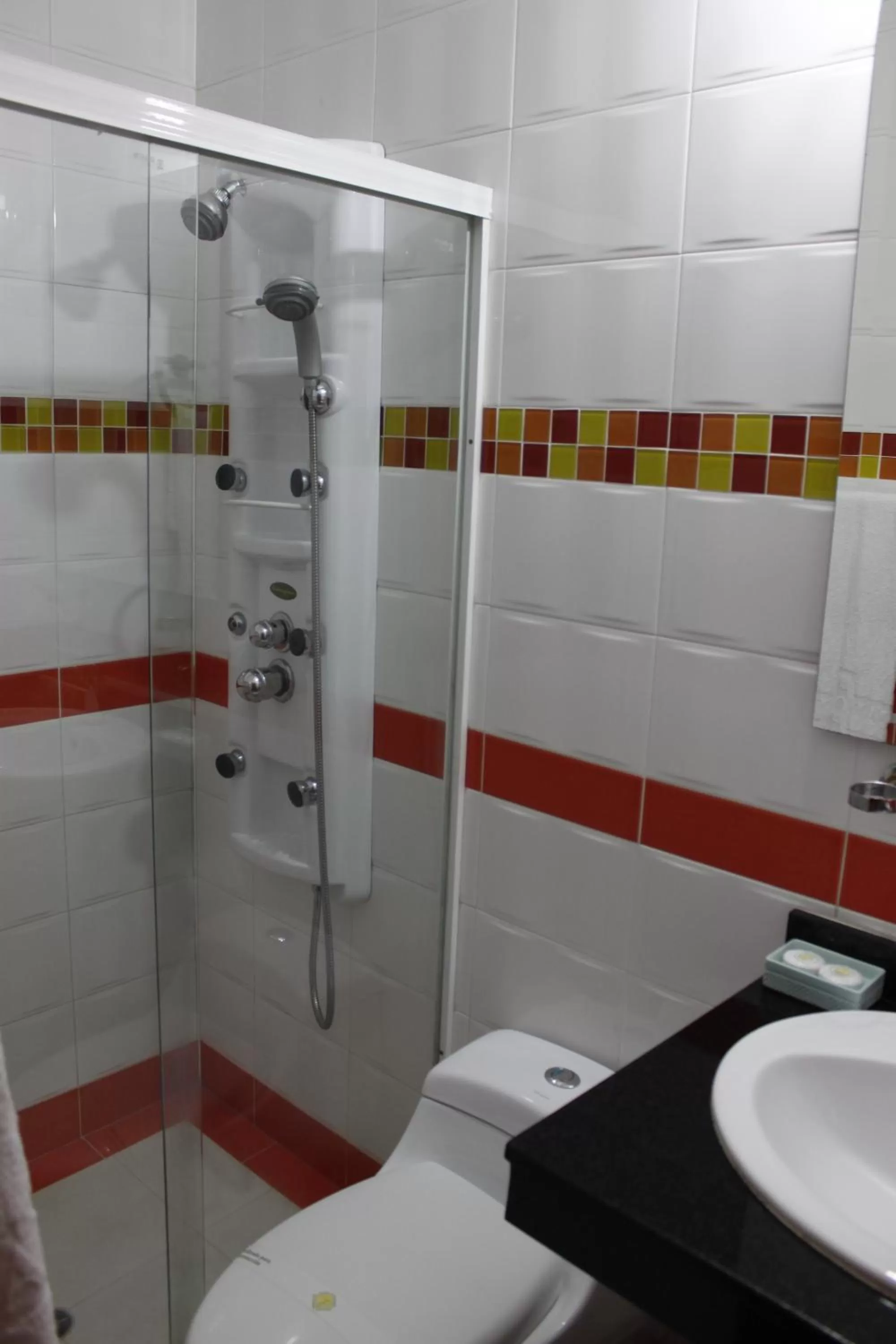 Shower, Bathroom in Hotel Palonegro