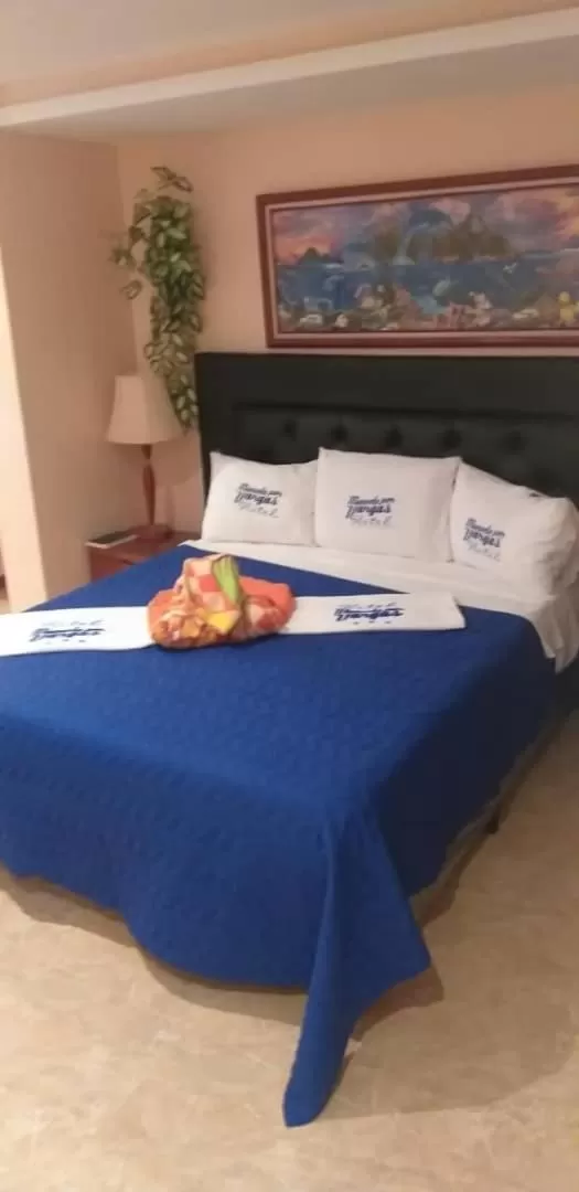 Bed in HOTEL MUEVETE POR VARGAS