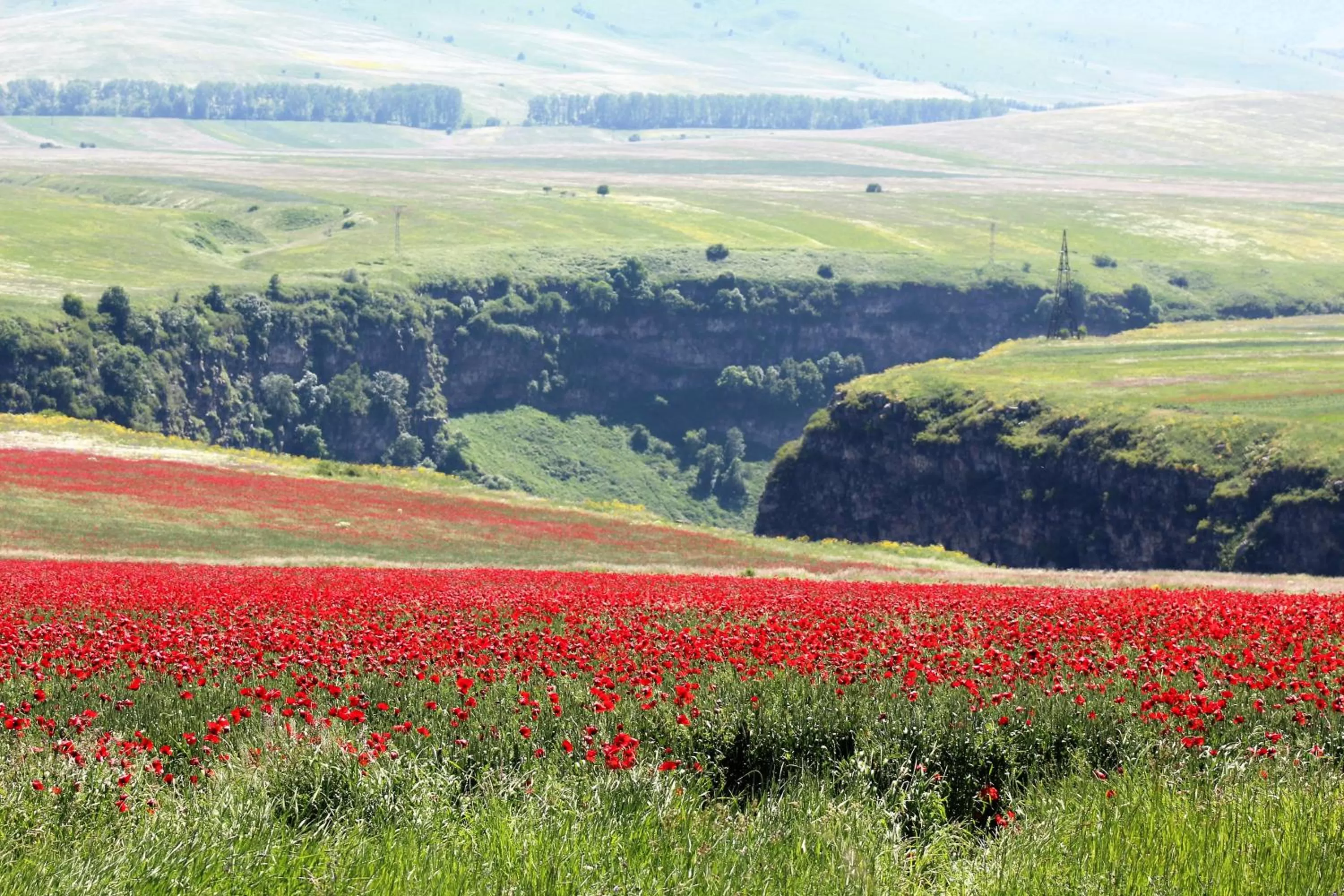 Neighbourhood in Ruzanna's Bed & Breakfast