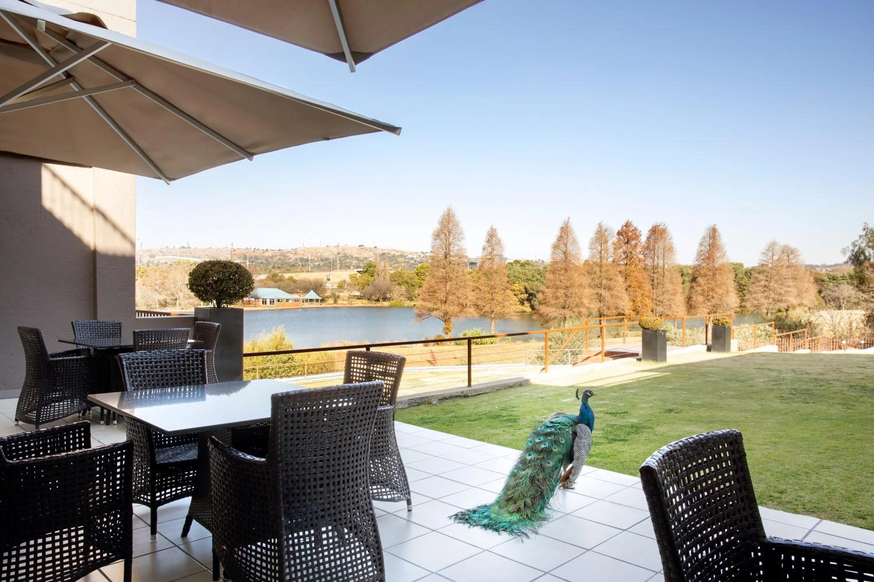 Patio in St Andrews Hotel and Spa