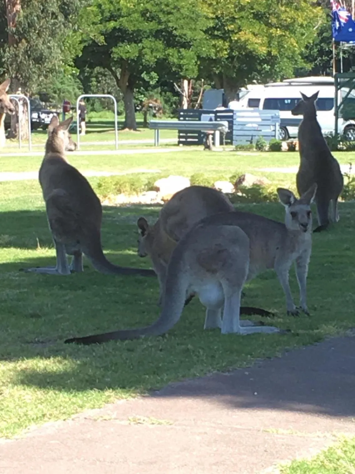 Natural landscape in Eden Gateway Holiday Park