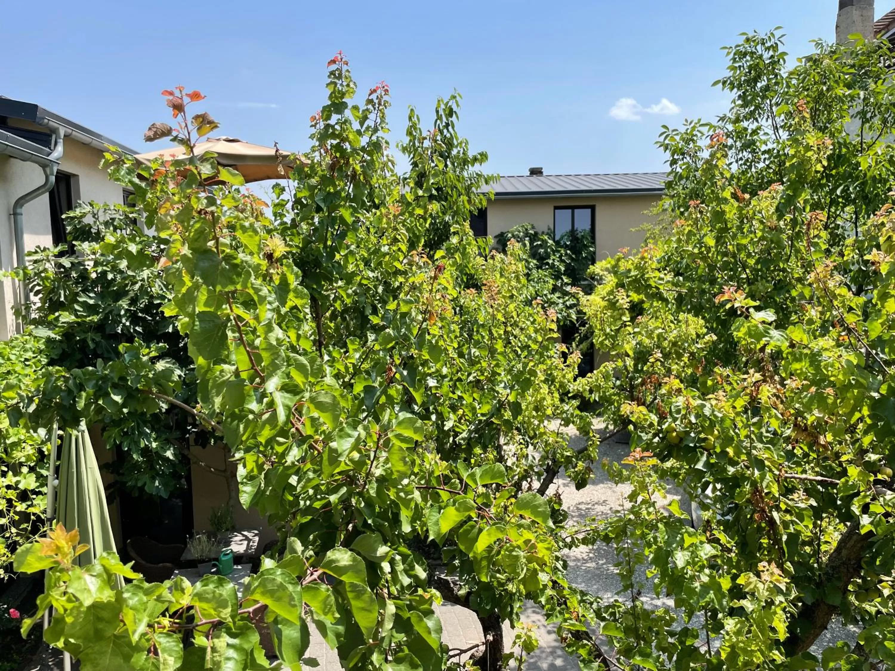 Inner courtyard view in Jugendstil-Hof