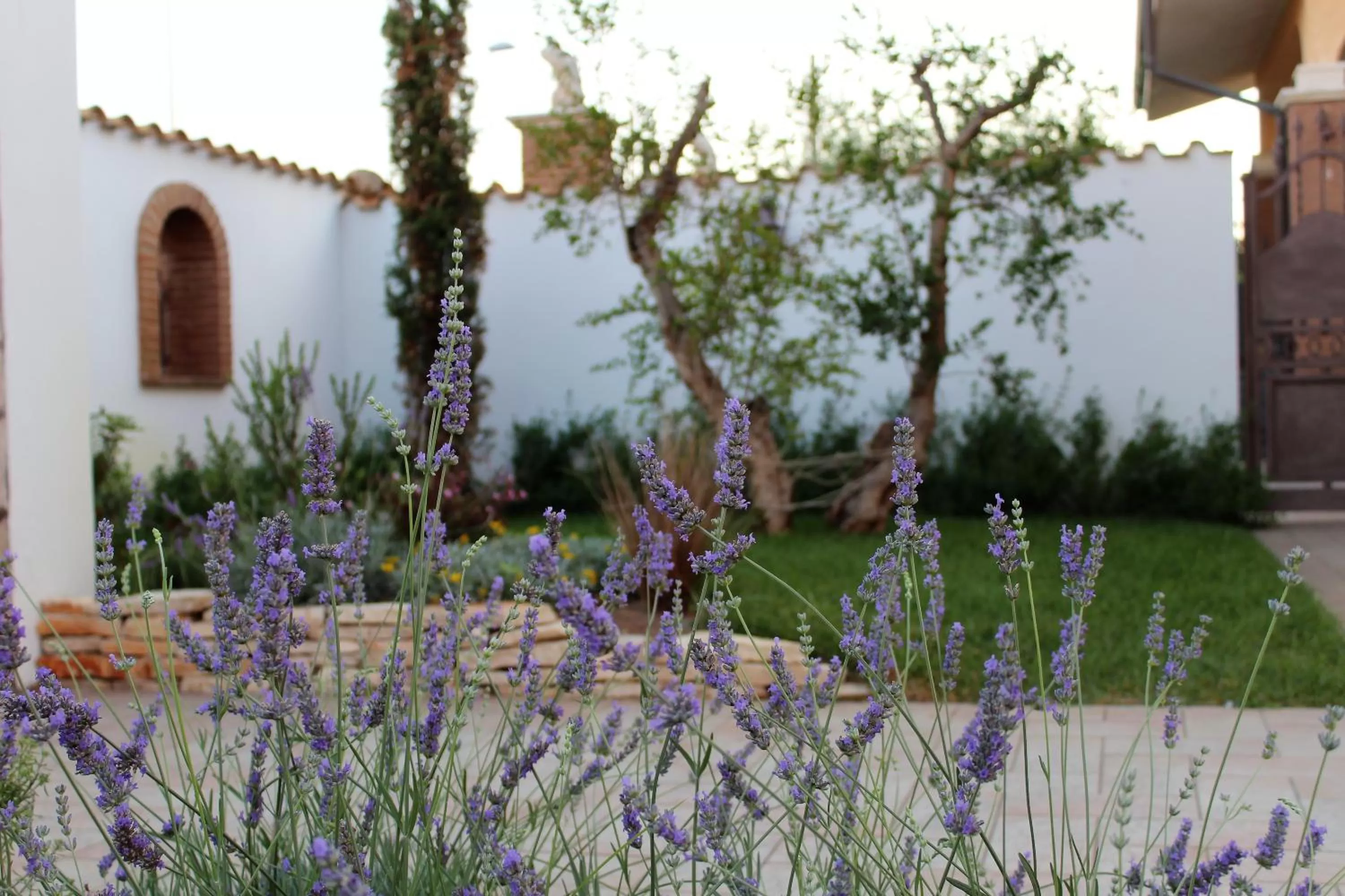 Decorative detail in Emotions