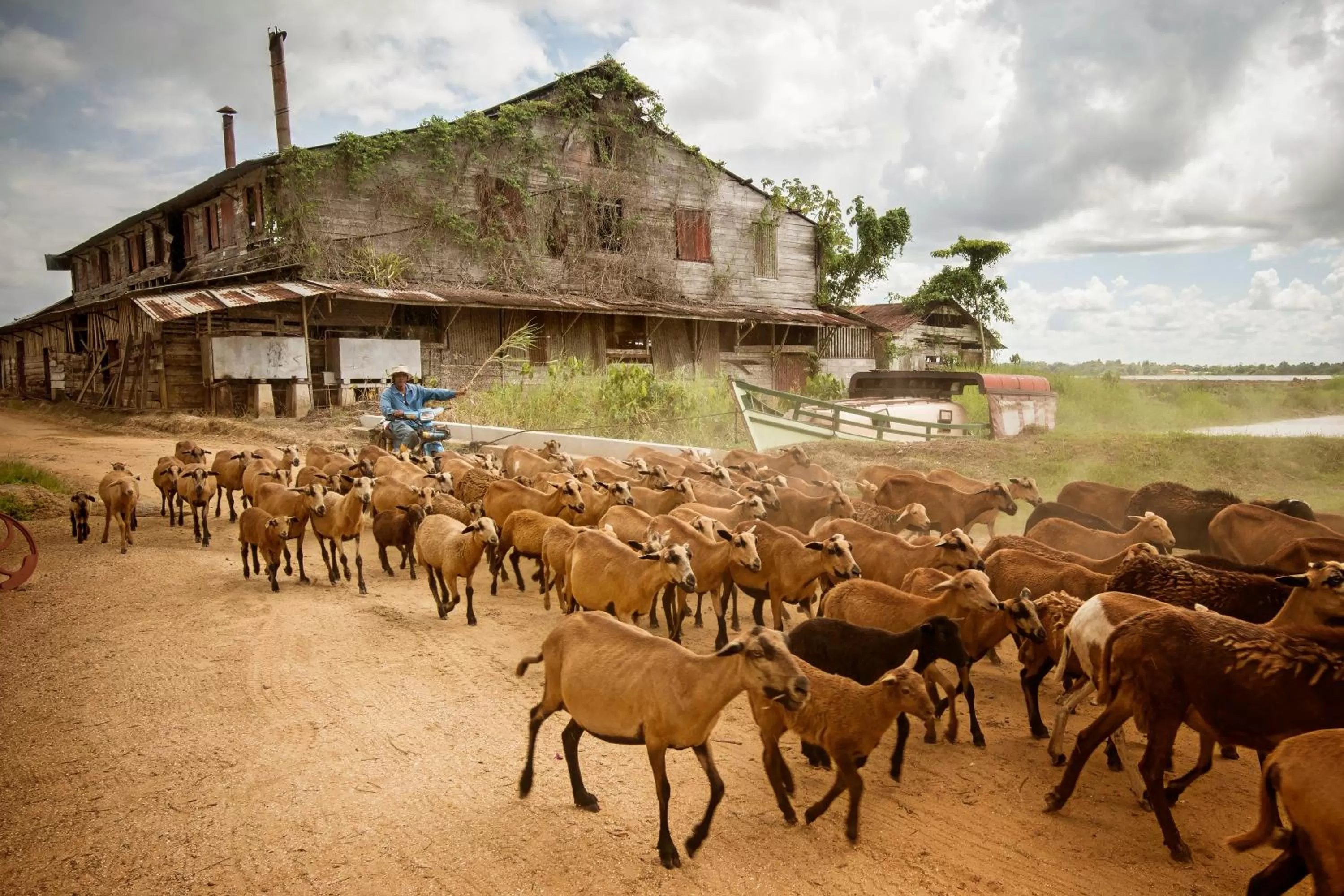 Day in Boutique Hotel Peperpot