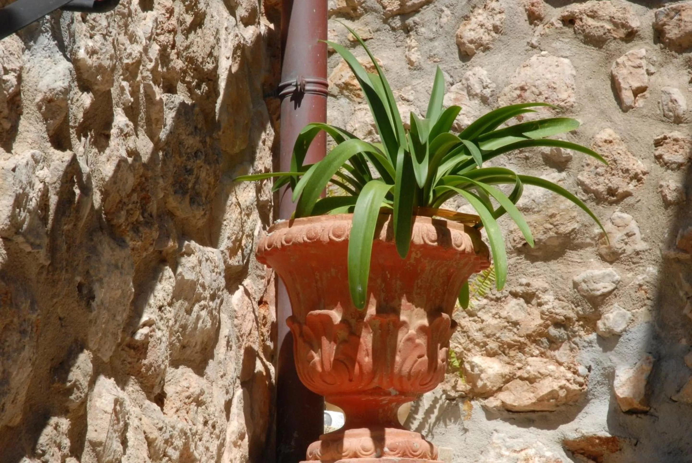 Day in Sa Vall Valldemossa