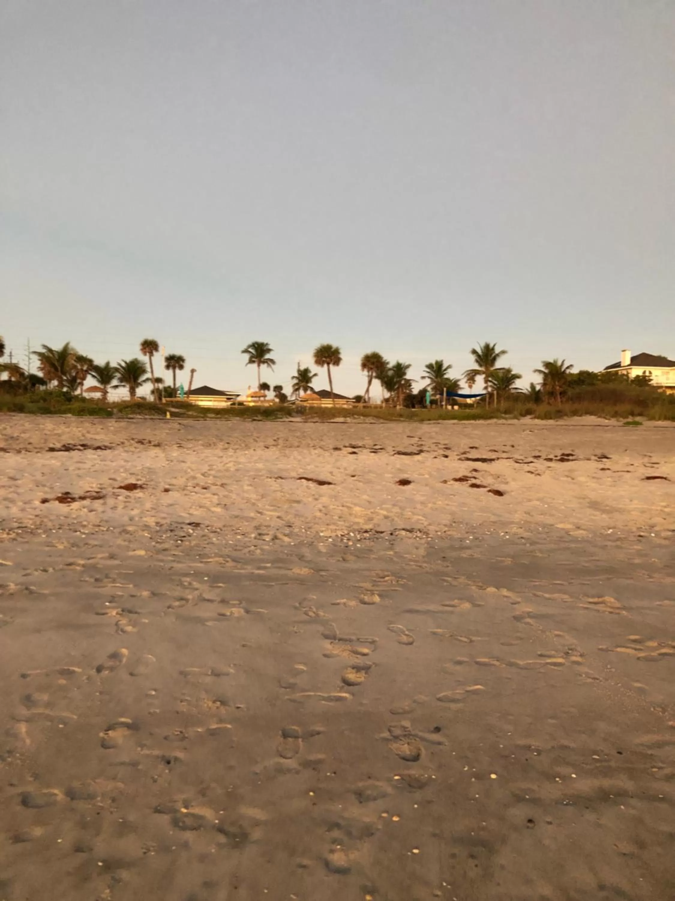 Surf Studio Beach Resort