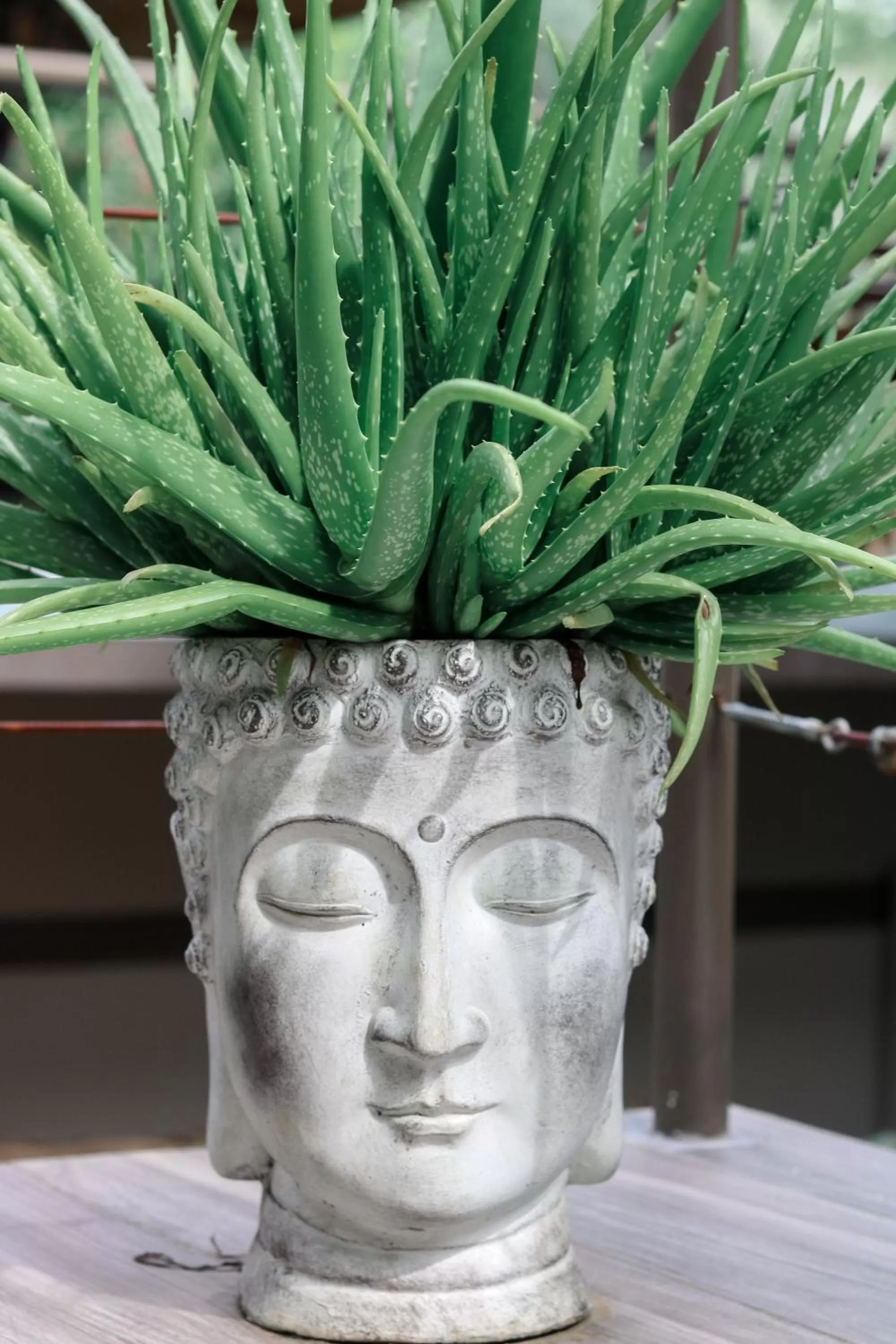 Decorative detail in Tamarindo Bay Boutique Hotel, Apartments & Suites