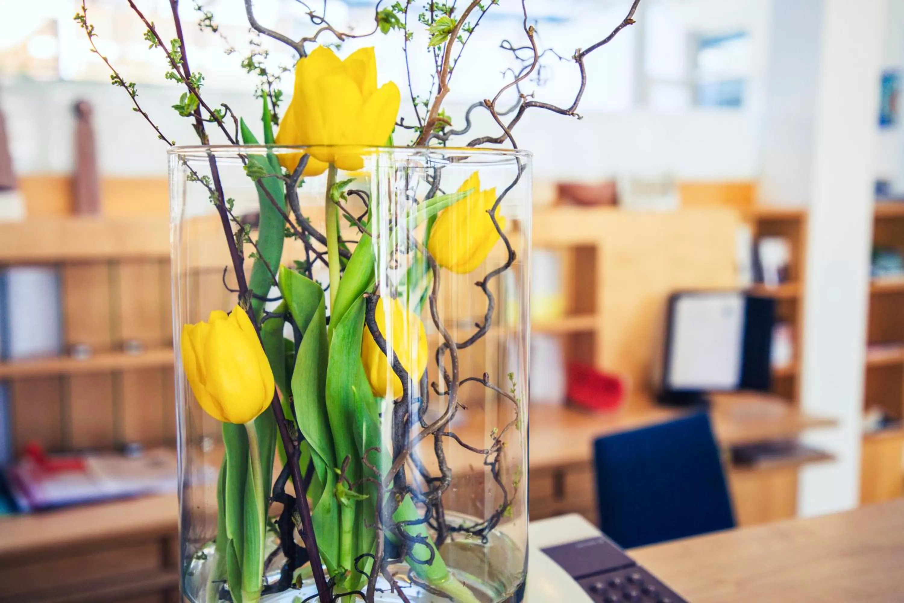 Lobby or reception in Klinglhuber Suites