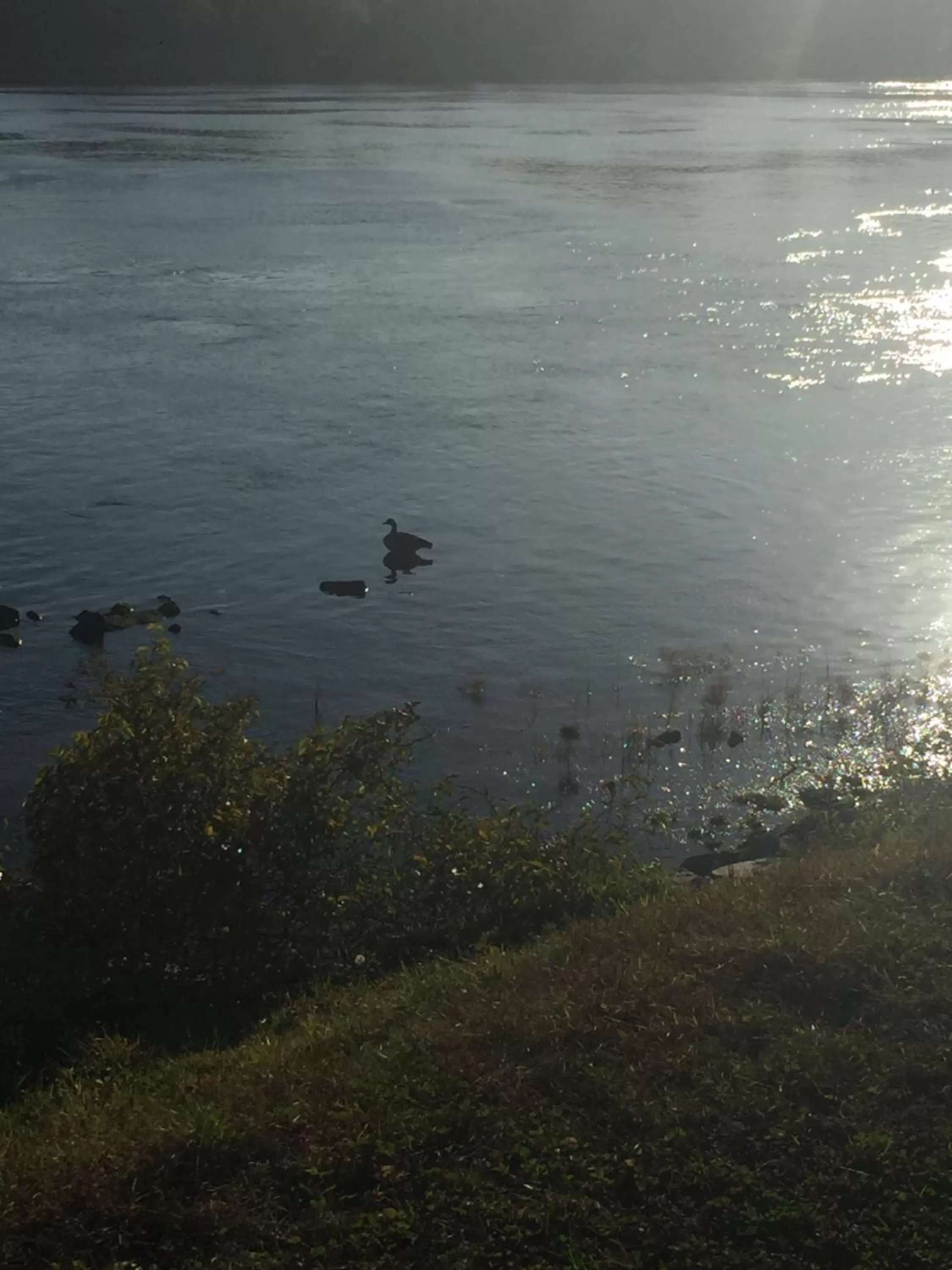 Inn 38 Oak Bluff Circle