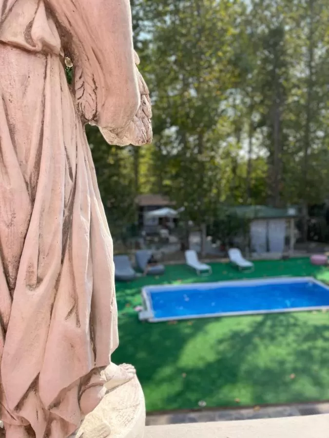 Swimming Pool in Pirro & Sharon House