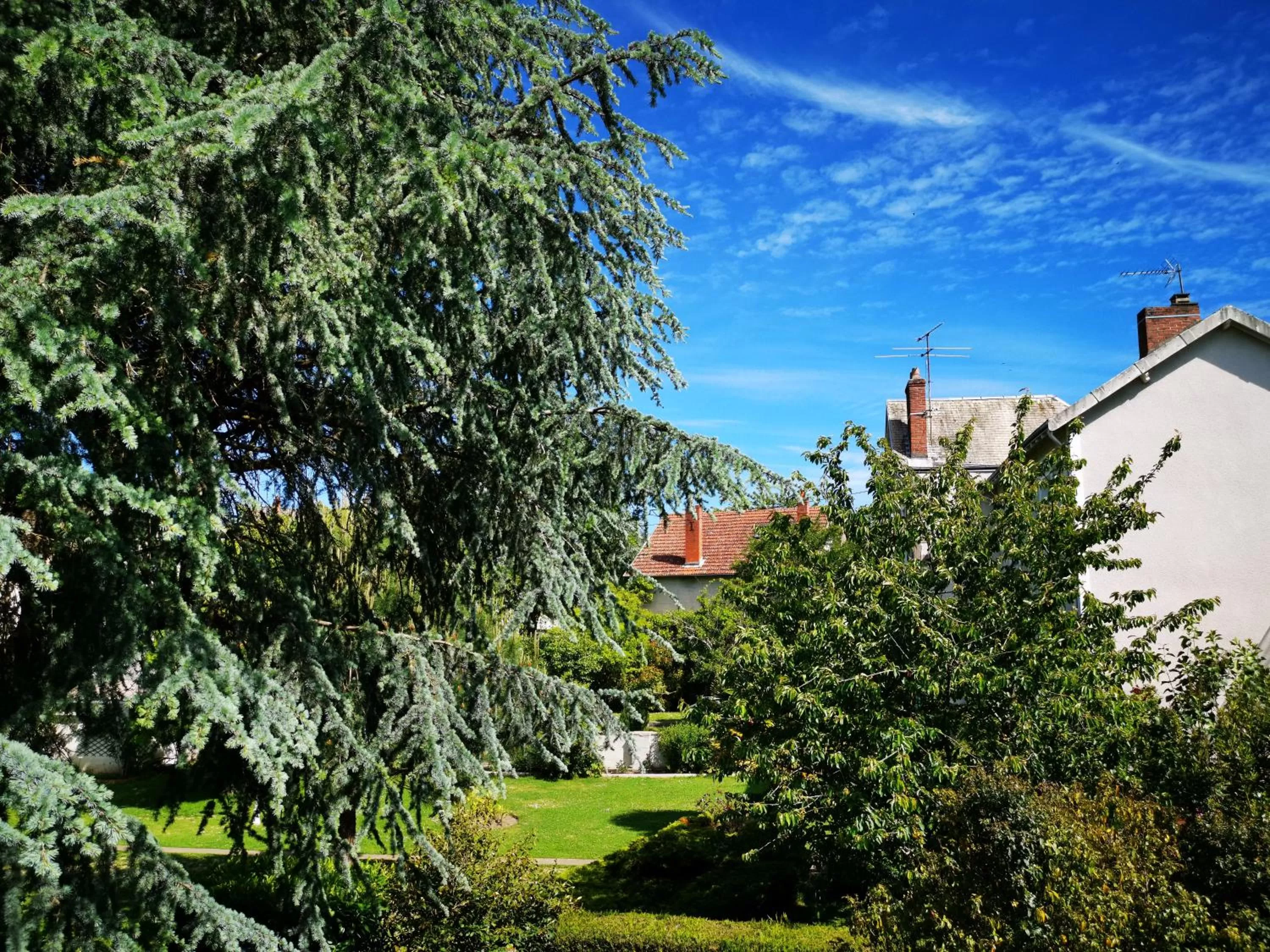 Garden in Chambres d'hôtes La Maison Blanche