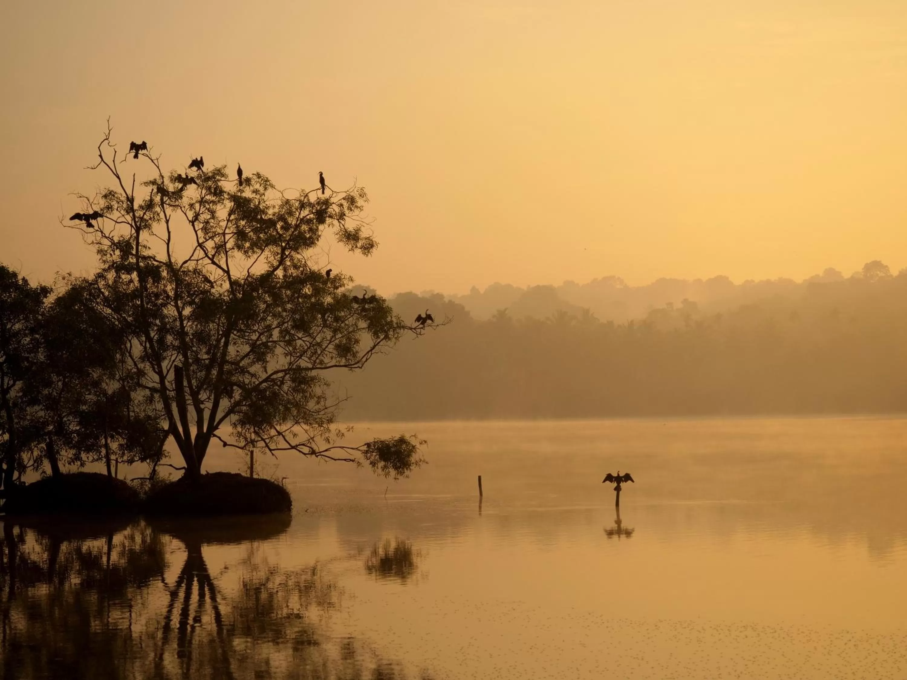 Neighbourhood in Ganesh Ayurveda Holiday Home