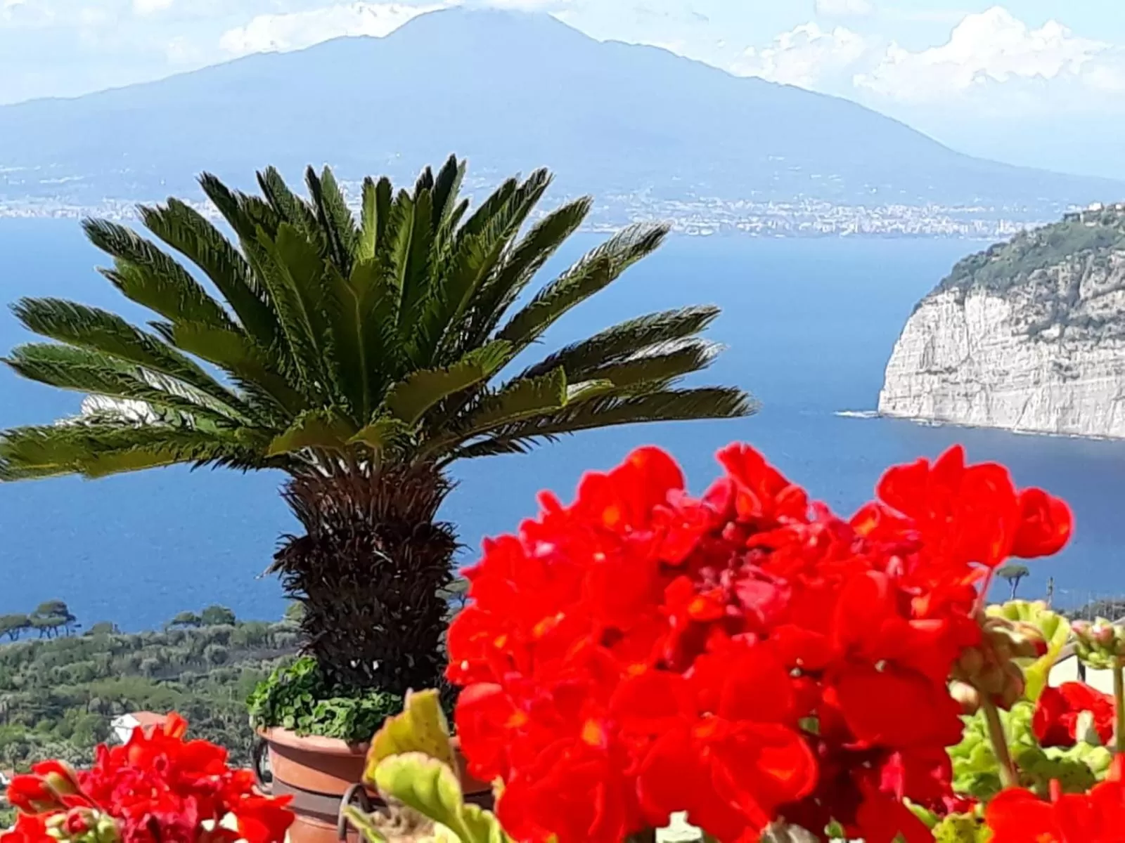 Natural landscape in Le Muse Suite