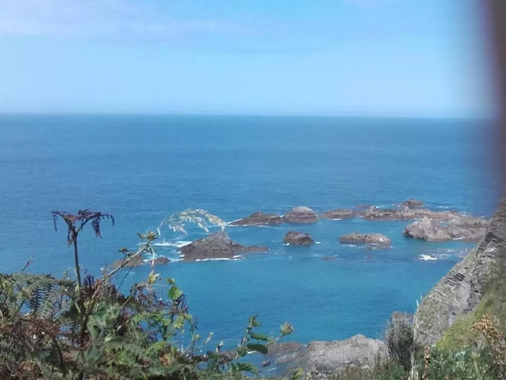 View (from property/room) in Avoncourt Lodge