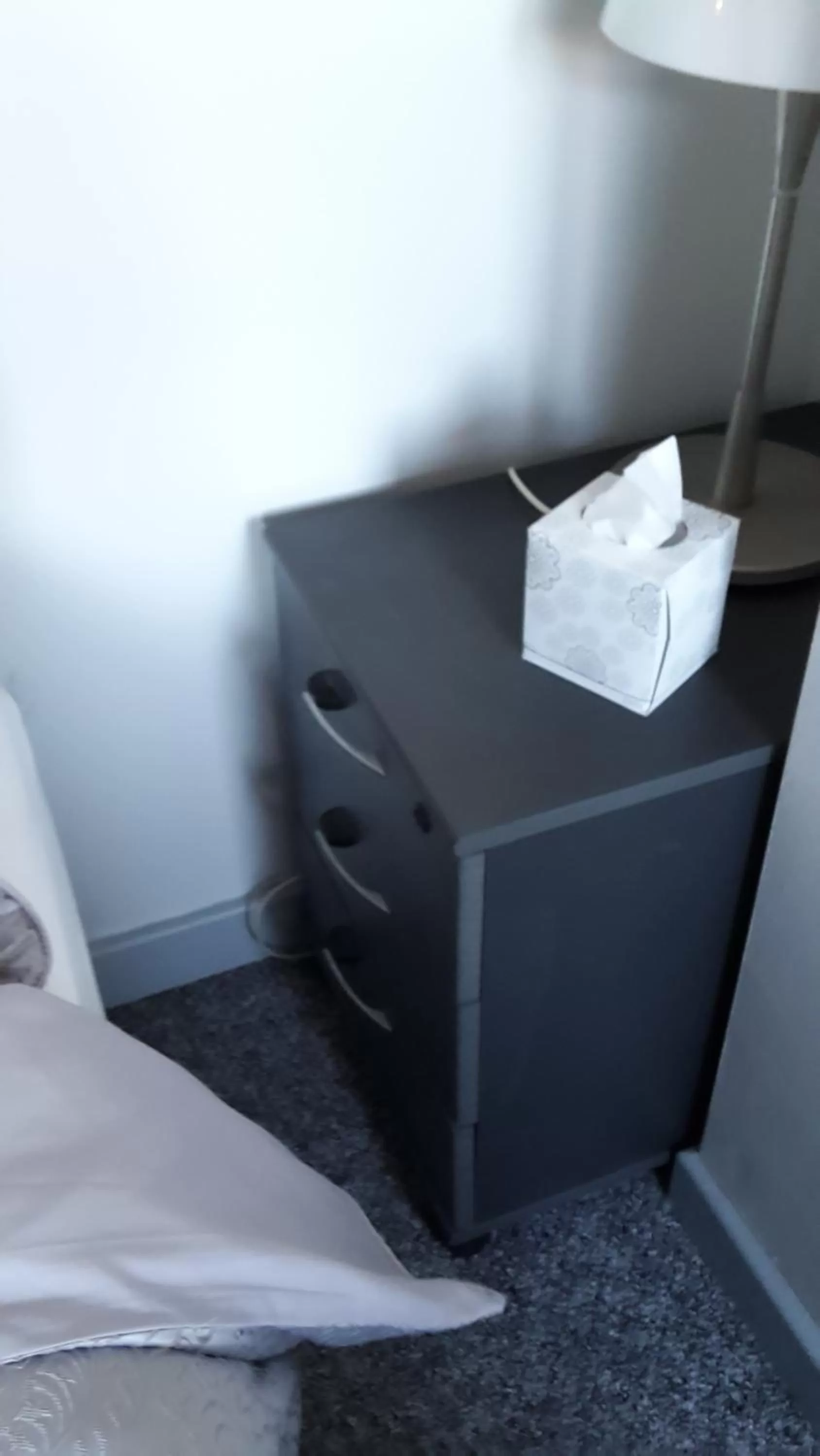 Decorative detail in BED AT BOWBRIDGE, Centre town