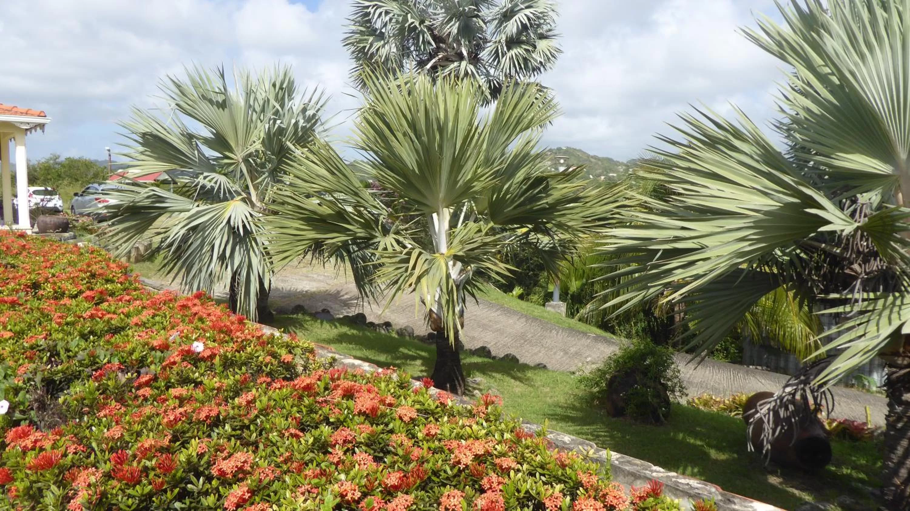 View (from property/room), Garden in Bed and breakfast Riviere