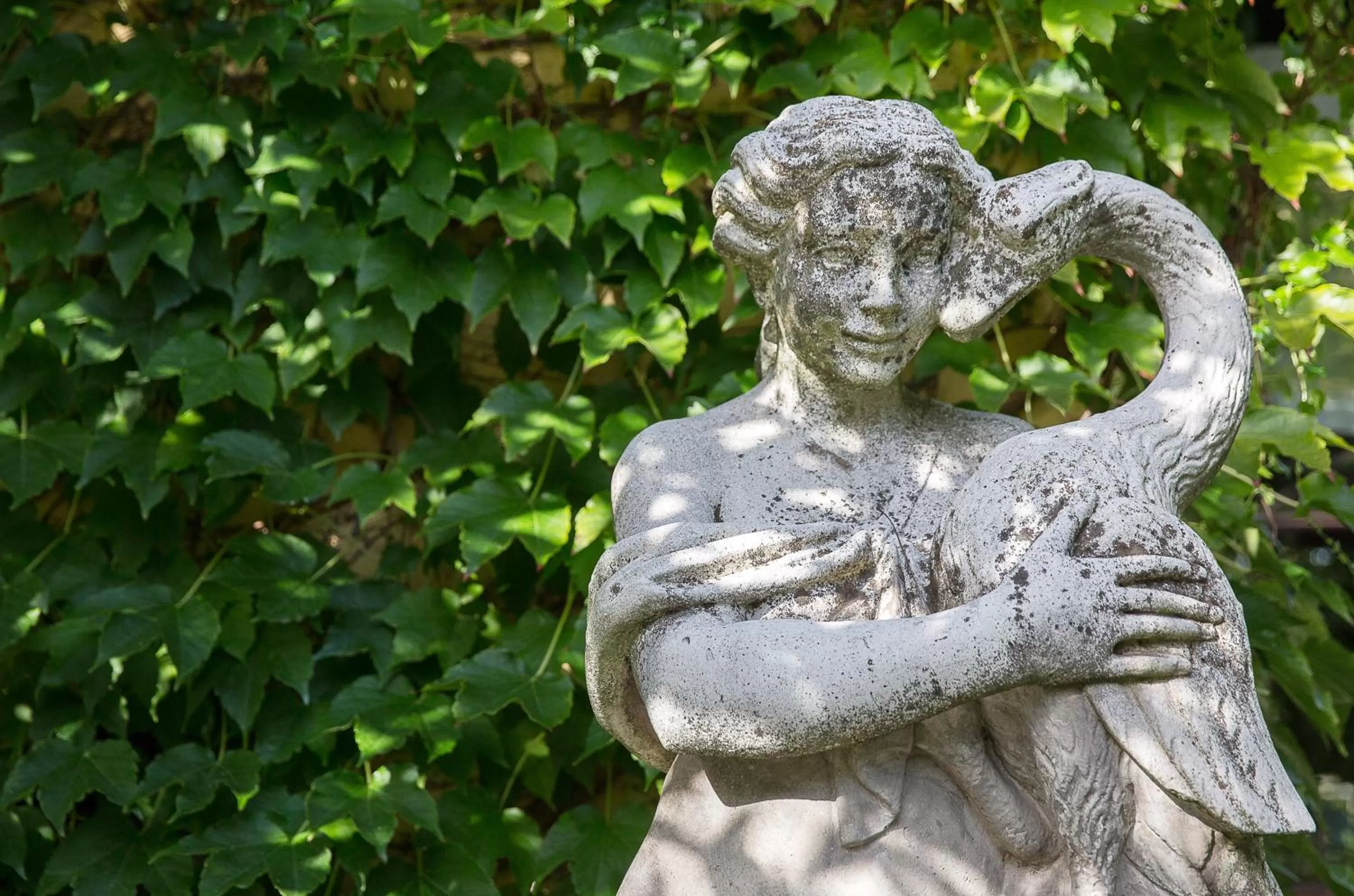 Garden in La Medusa Hotel - Dimora di Charme