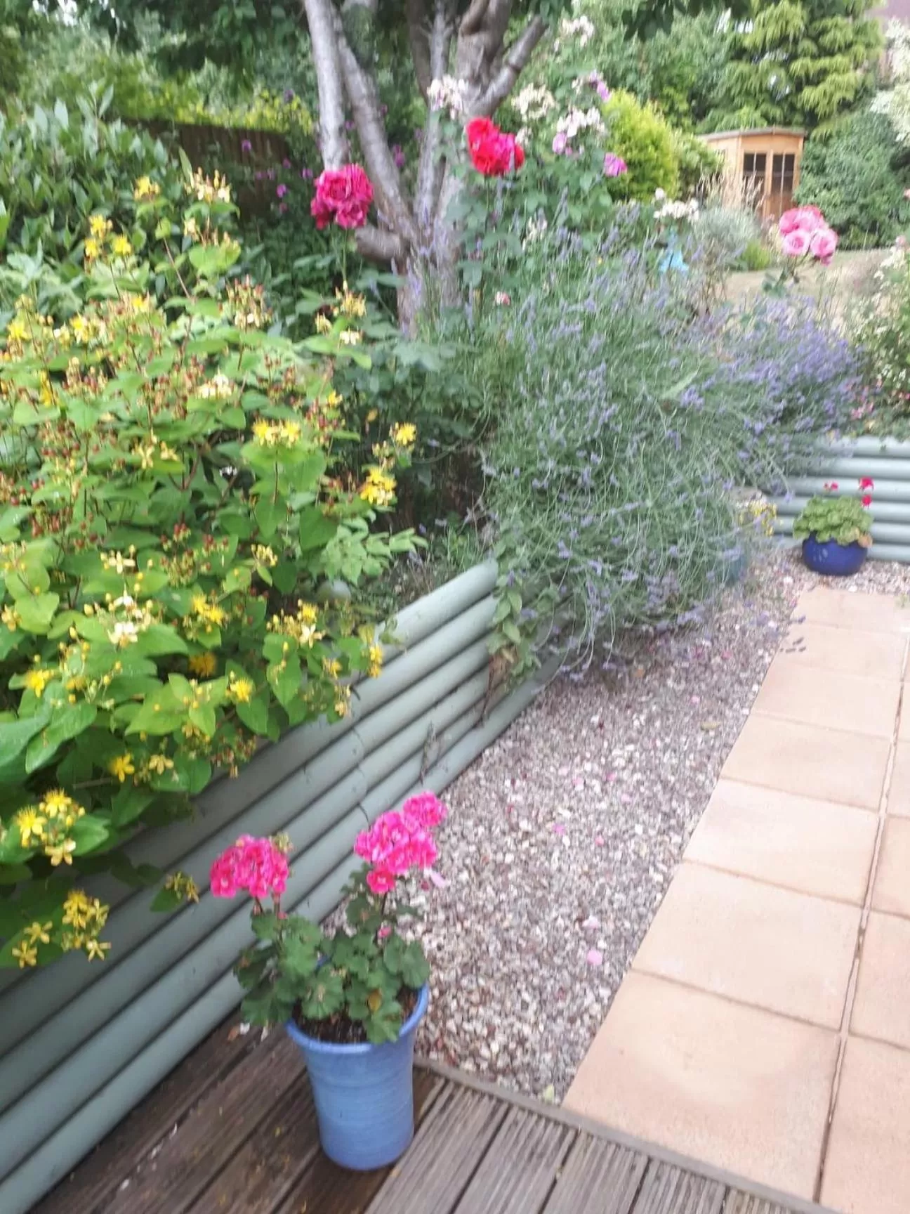 Garden in Santi Bhavana Bed & Breakfast