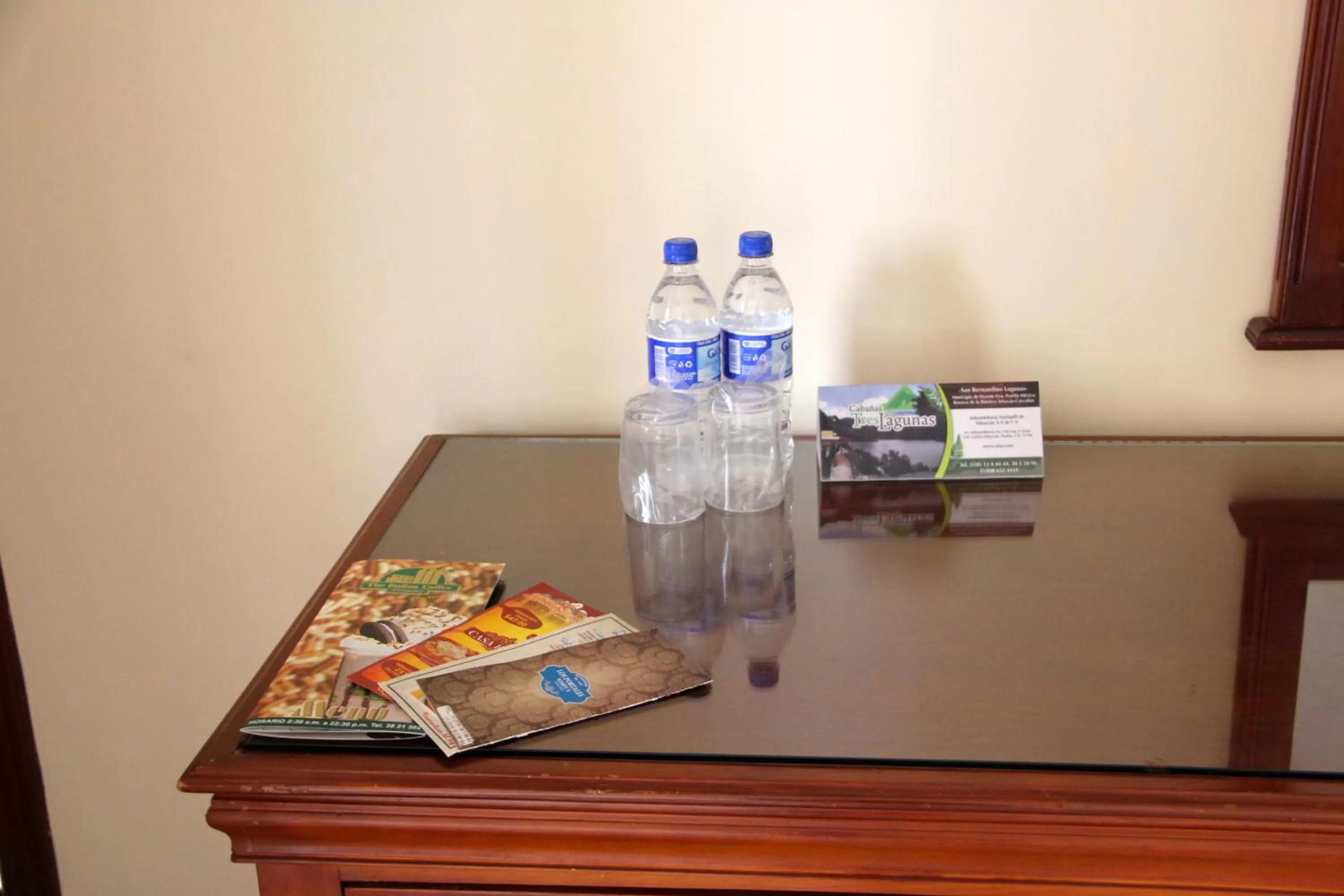 Decorative detail in Hotel Tehuacan Plaza