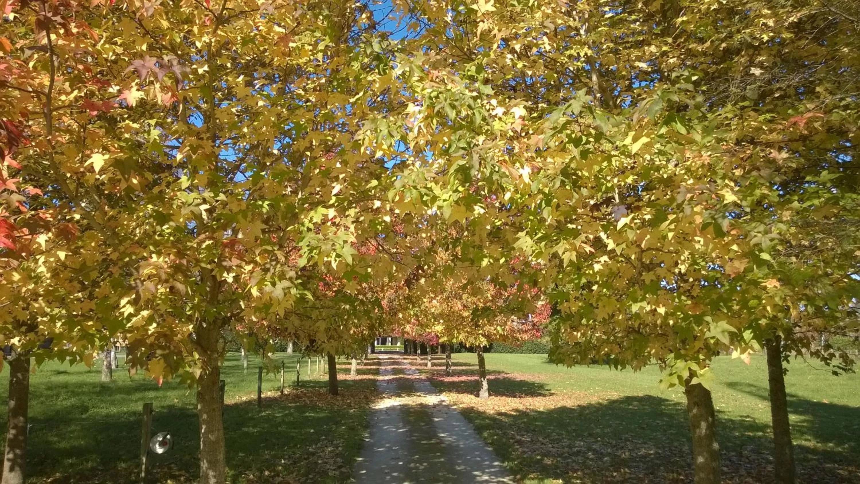 Natural landscape, Garden in Korbaylen Estate