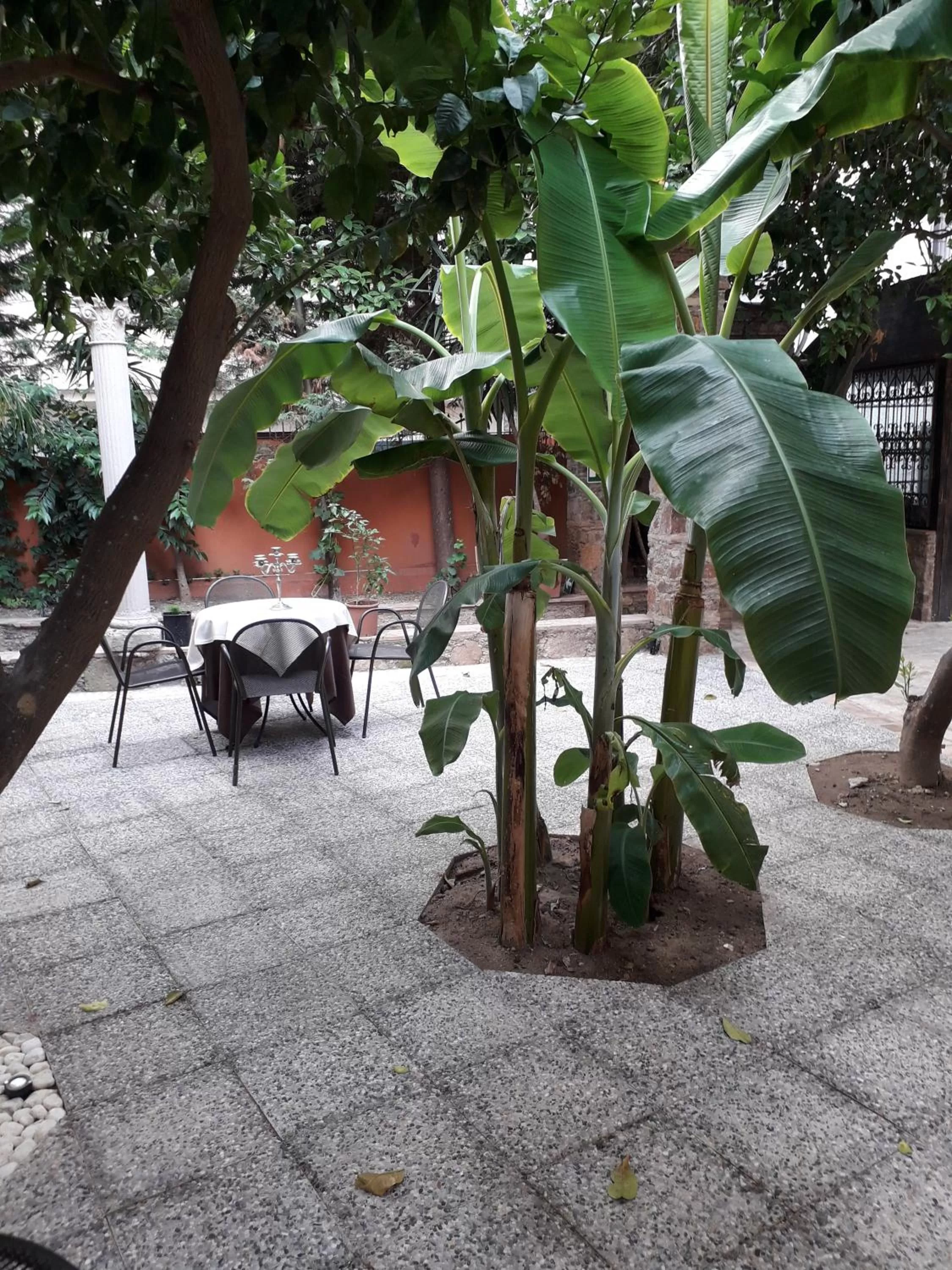 Garden in Hotel Villa Antica Tropea