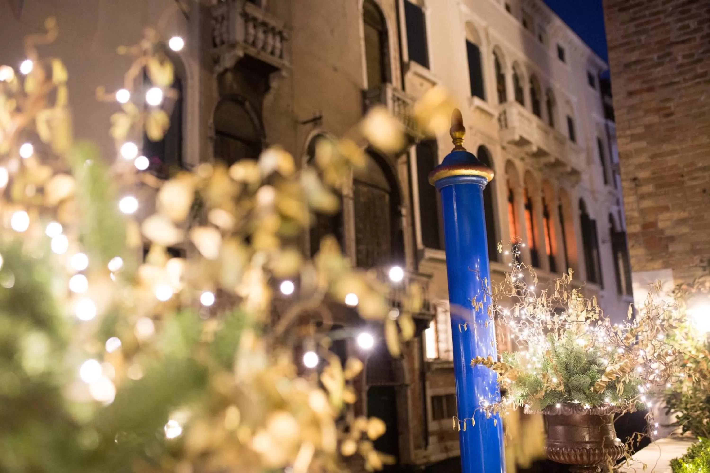Garden in Hotel Donà Palace