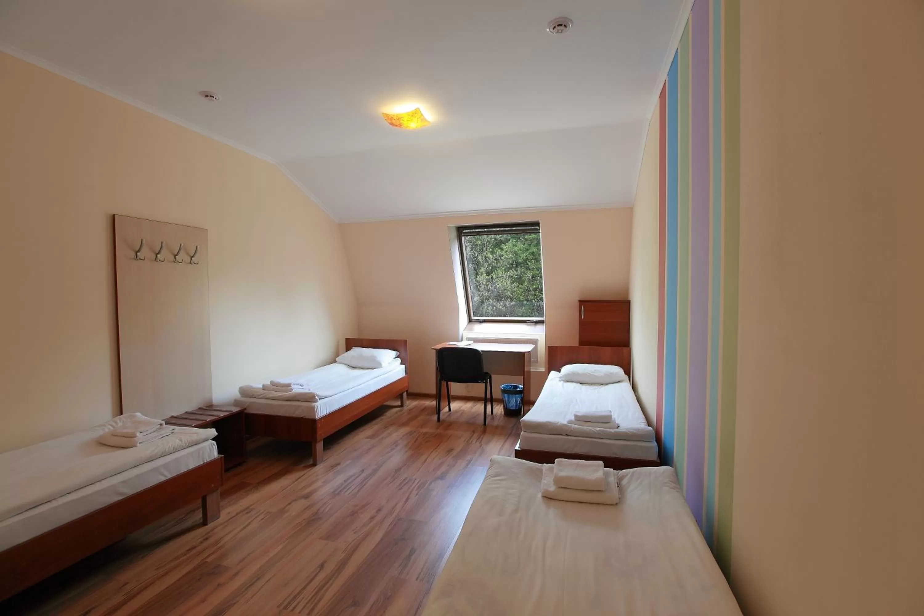 Photo of the whole room, Bed in Budget Hotel Ekotel