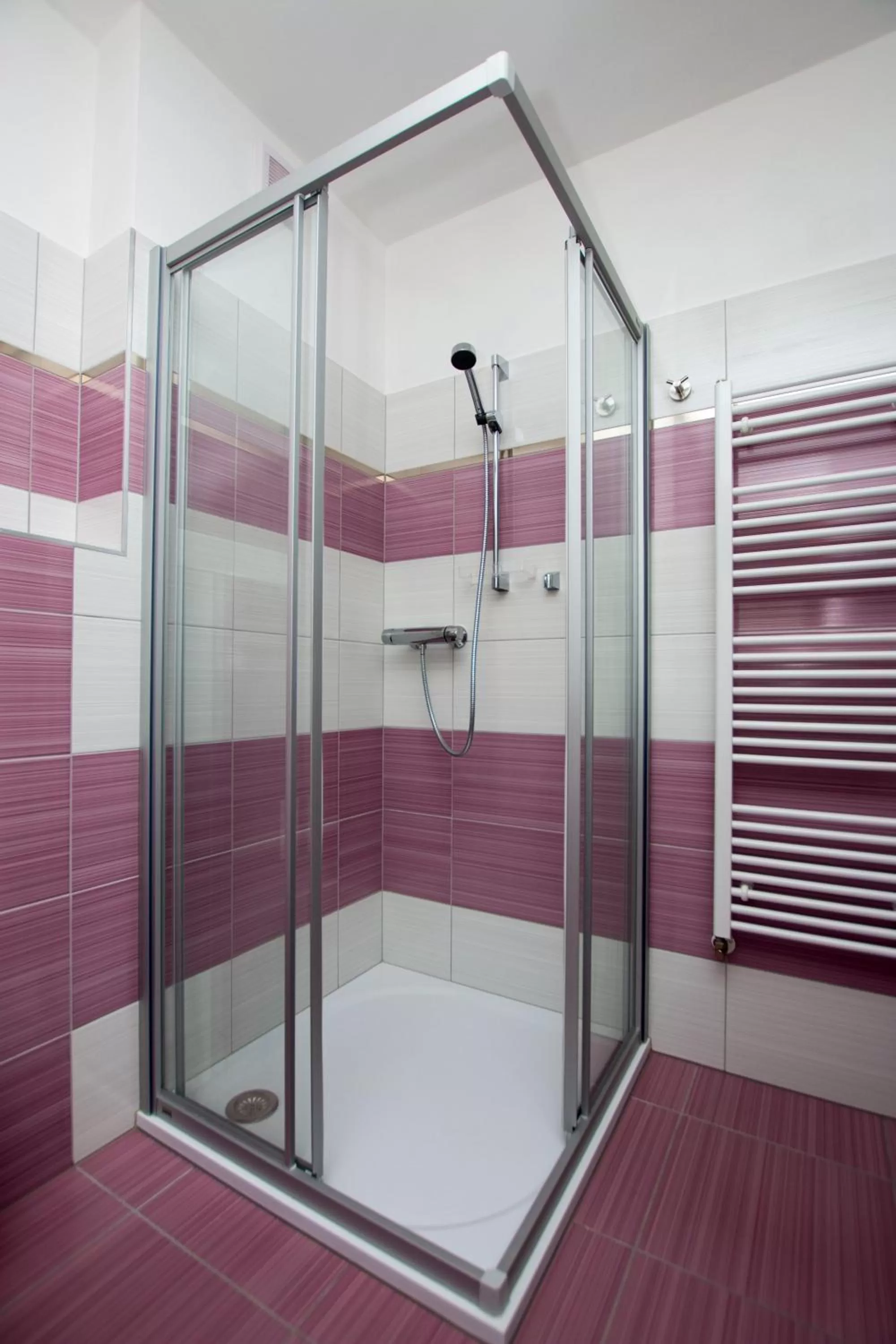 Wellness penzion Medličky