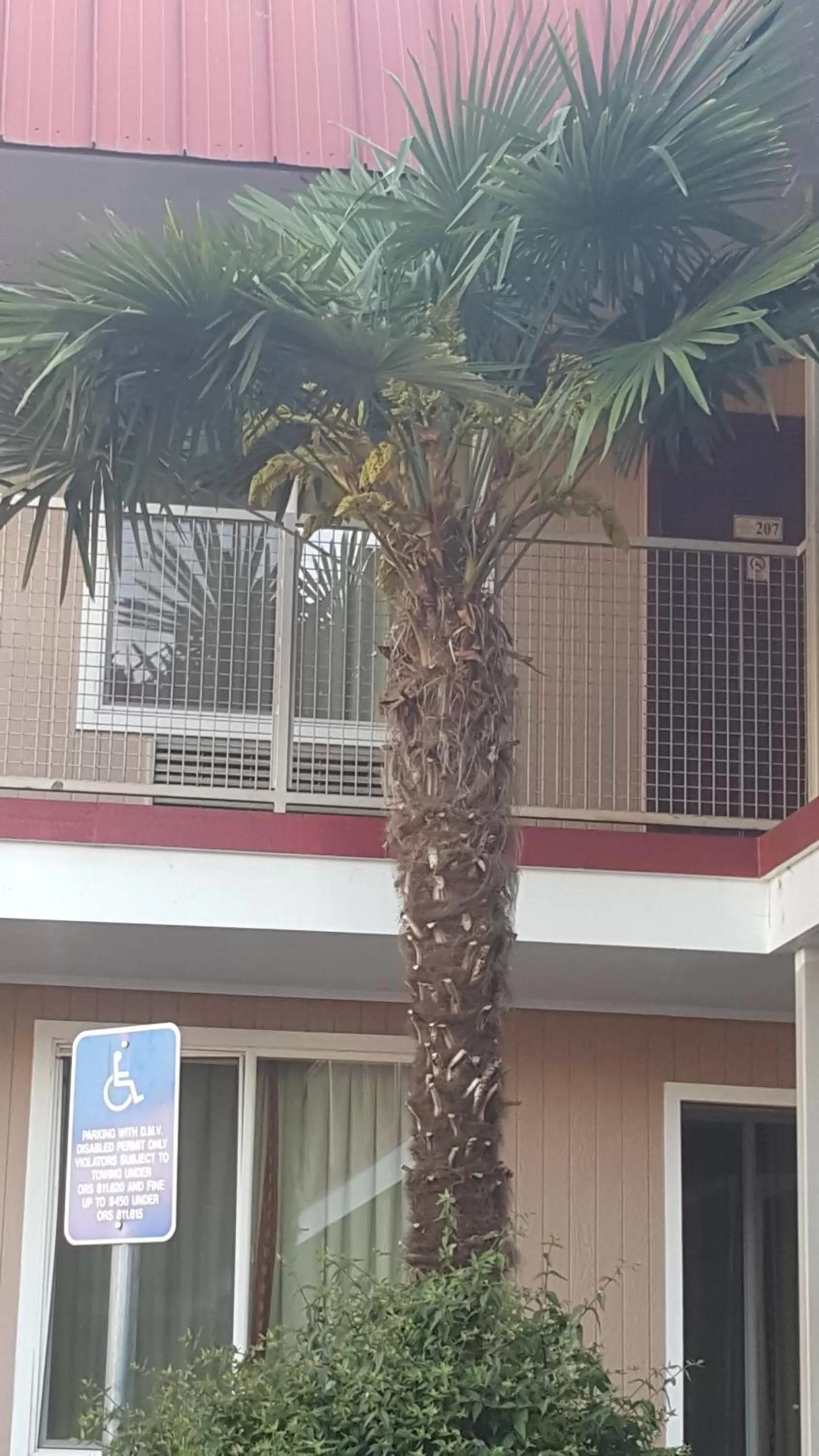 Balcony/Terrace in Express Inn & Suites Eugene