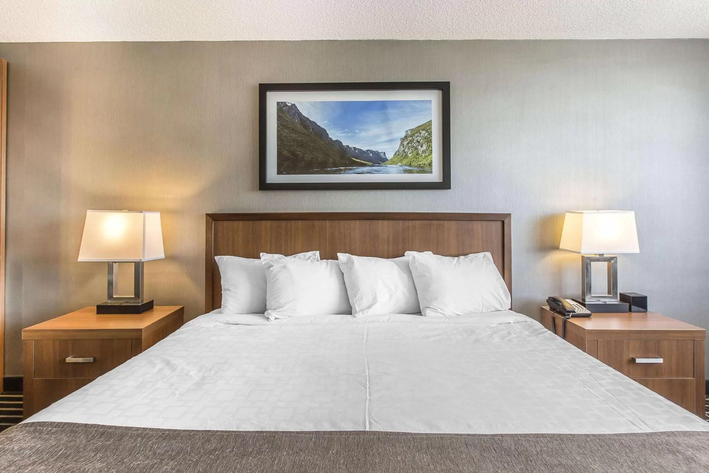 Photo of the whole room, Bed in Quality Inn