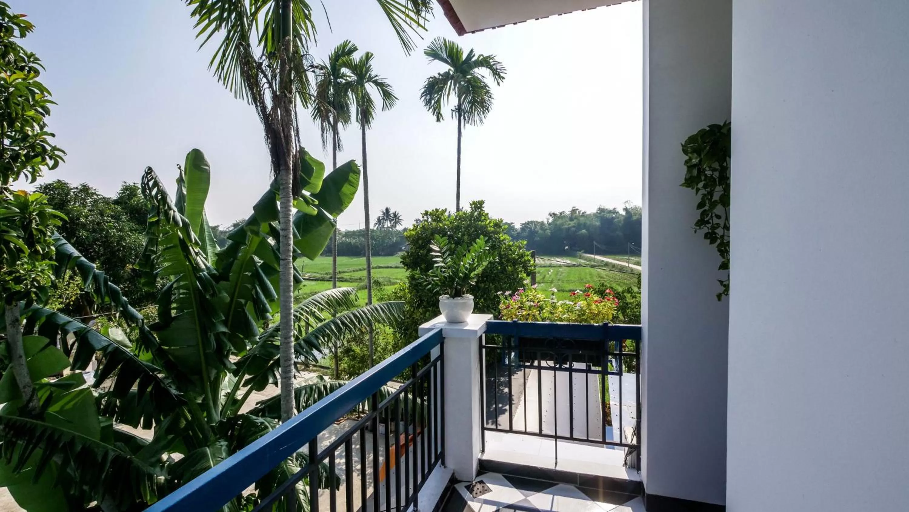 Spring in Lavini Hoian Boutique Villa