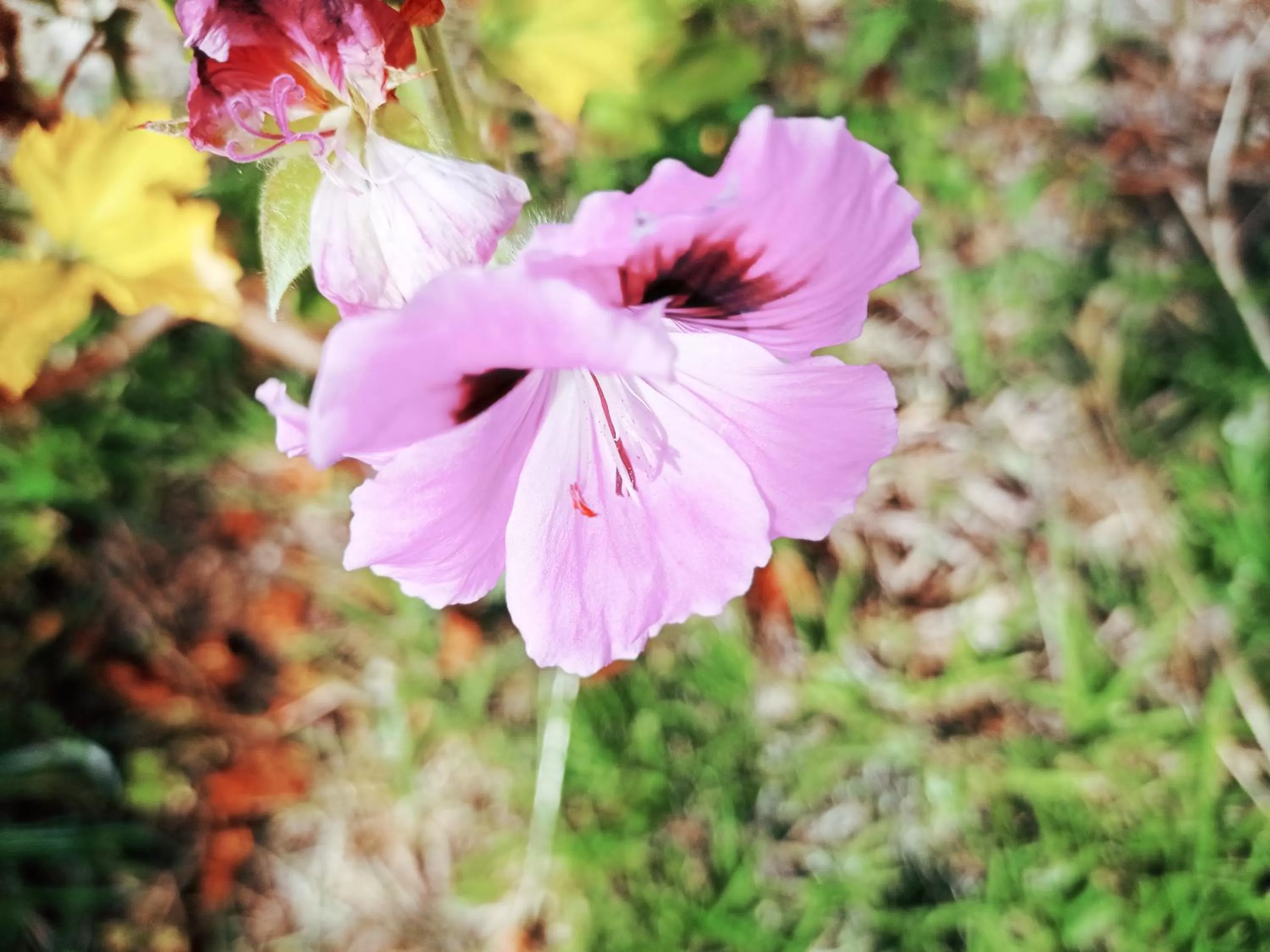 Hotel Refugio Pozo Azul