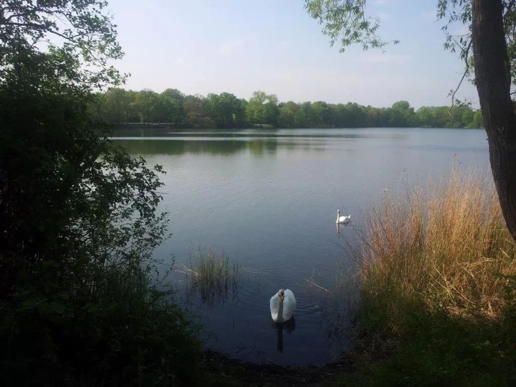 Natural landscape, Other Animals in Hotel-Café-Galerie