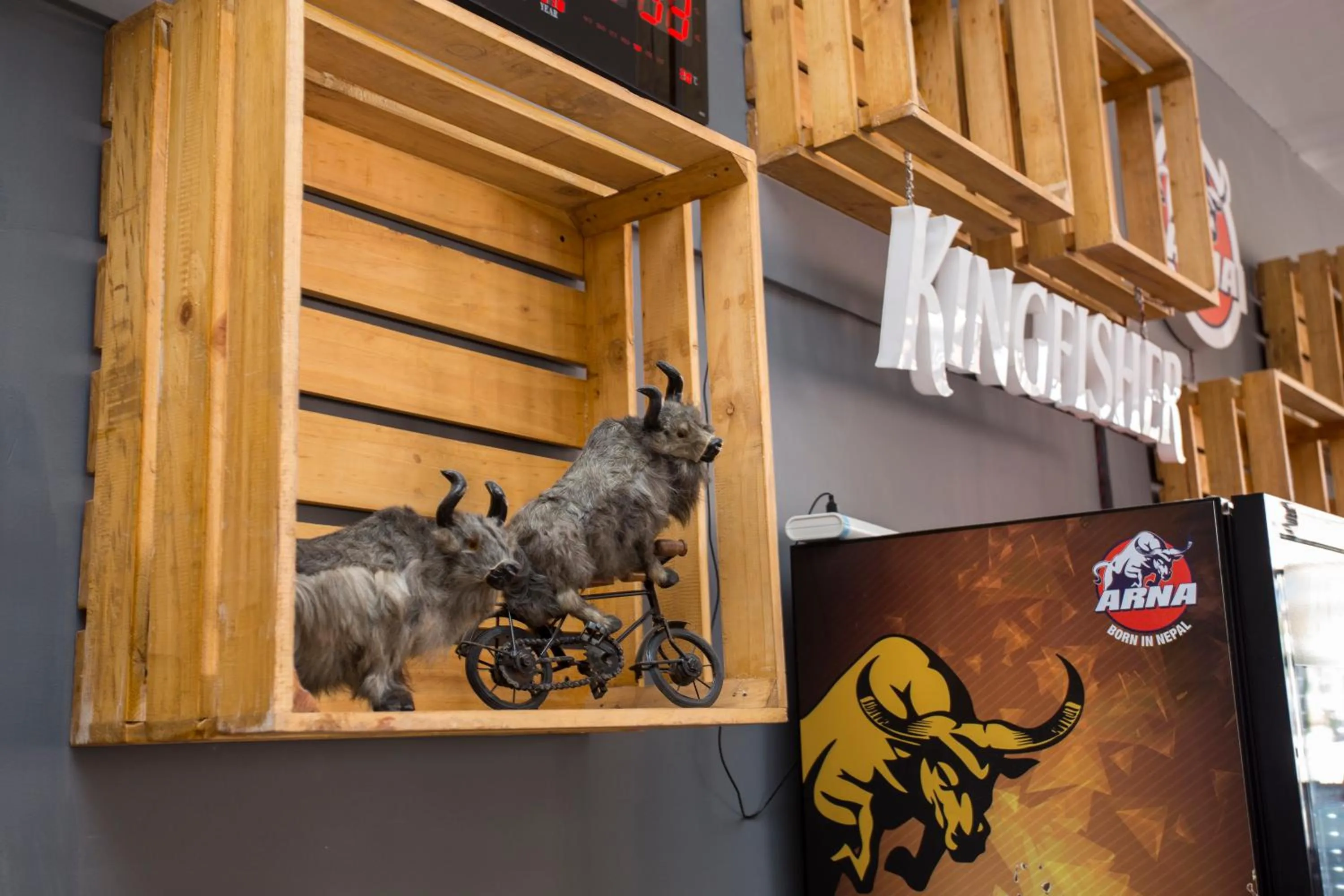 Property logo or sign in Yakety Yak Hostel