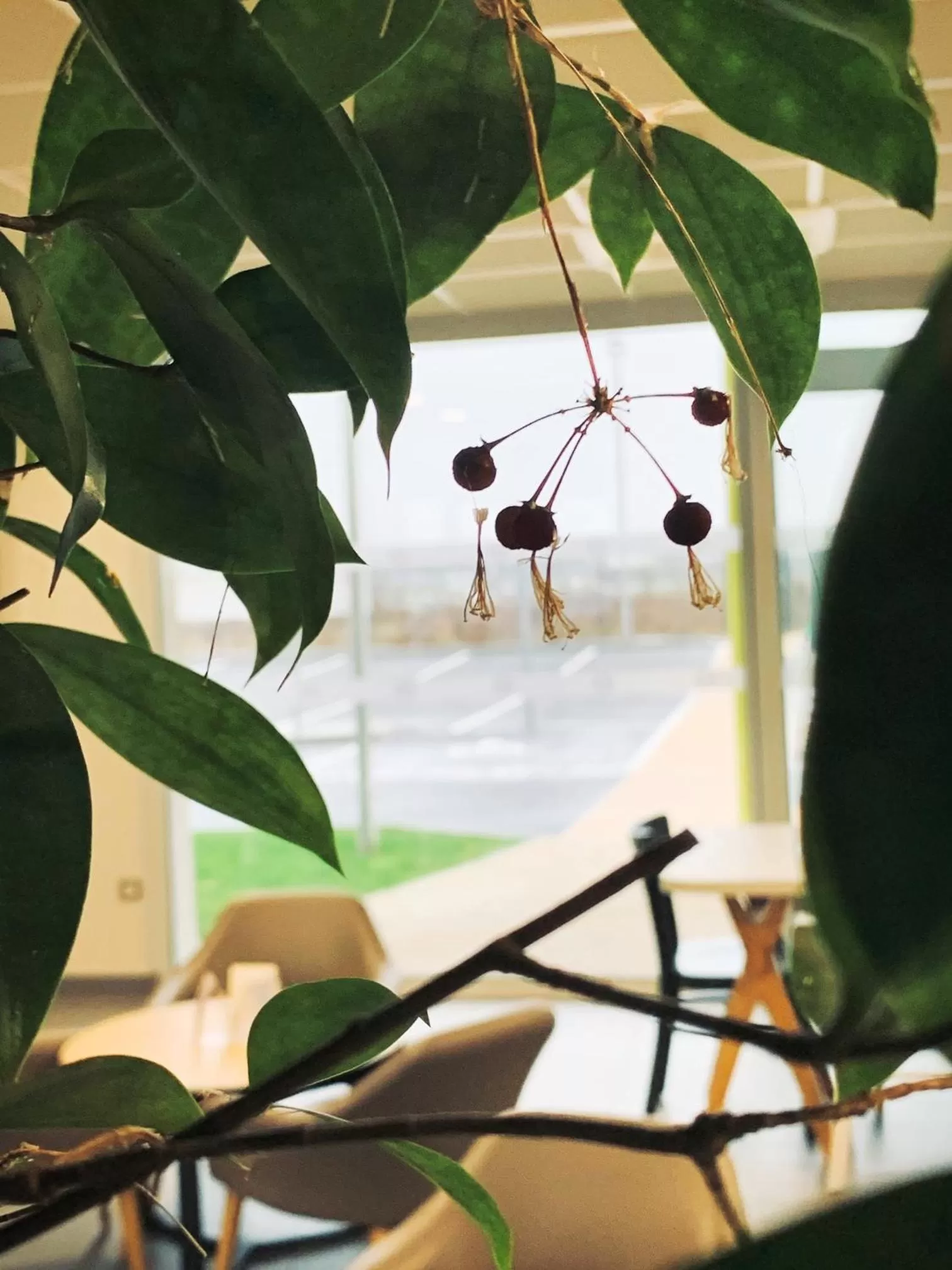 Decorative detail in B&B HOTEL Montargis-Amilly