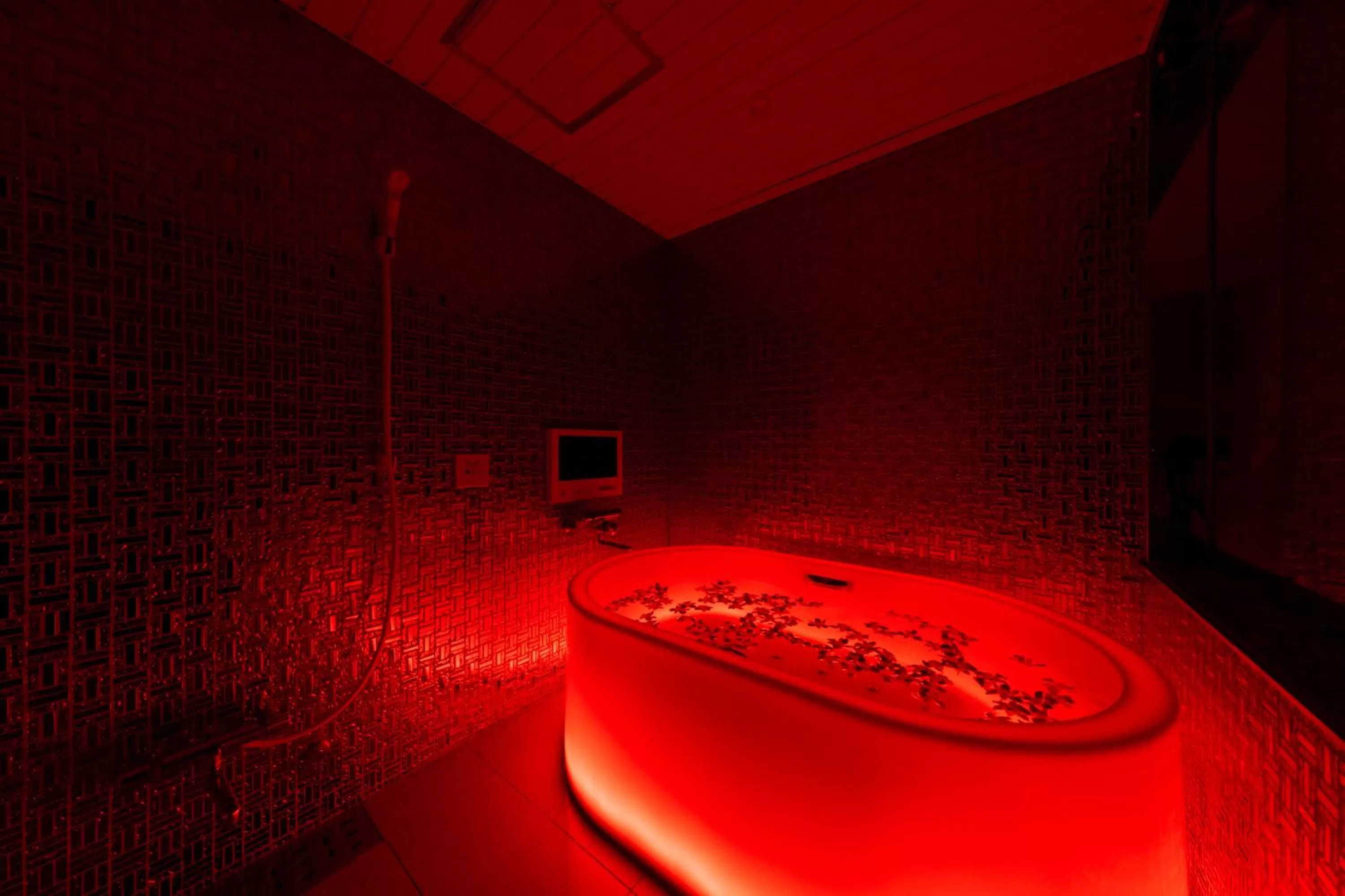 Hotel Eldia Luxury Kobe (Adult Only)