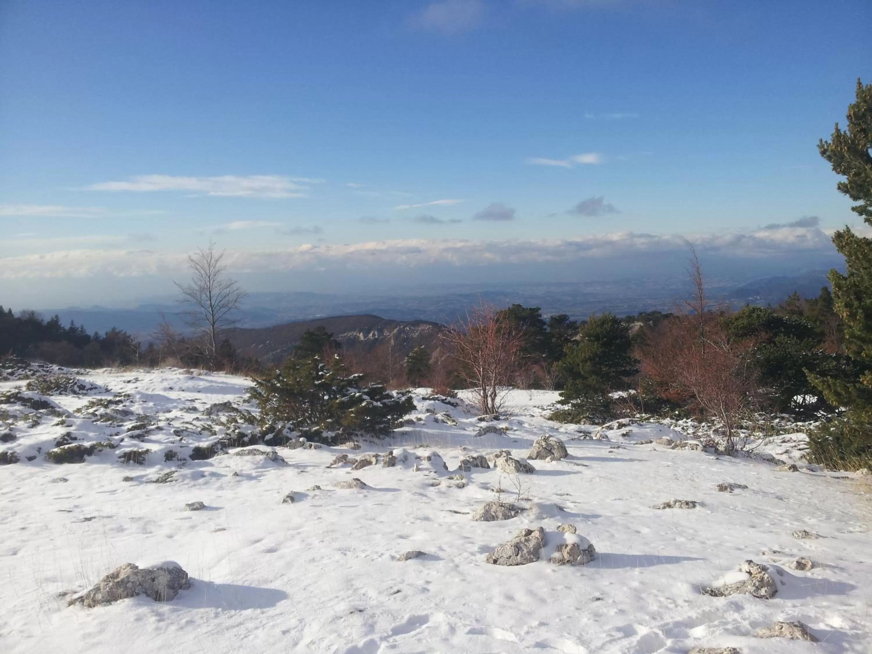 Winter in Chambres d'Hôtes Aux Tournesols