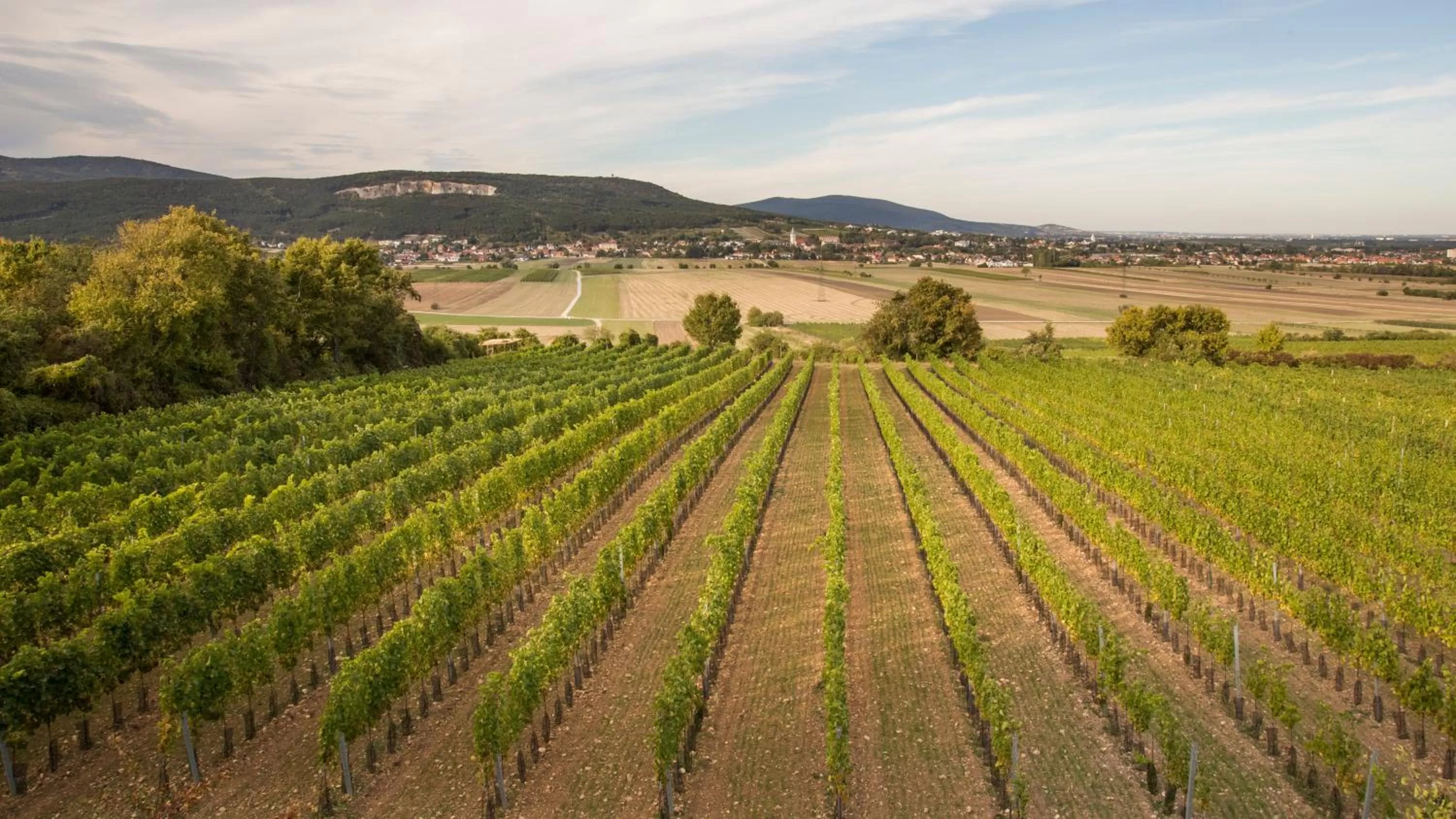 Spring in College Garden Hotel