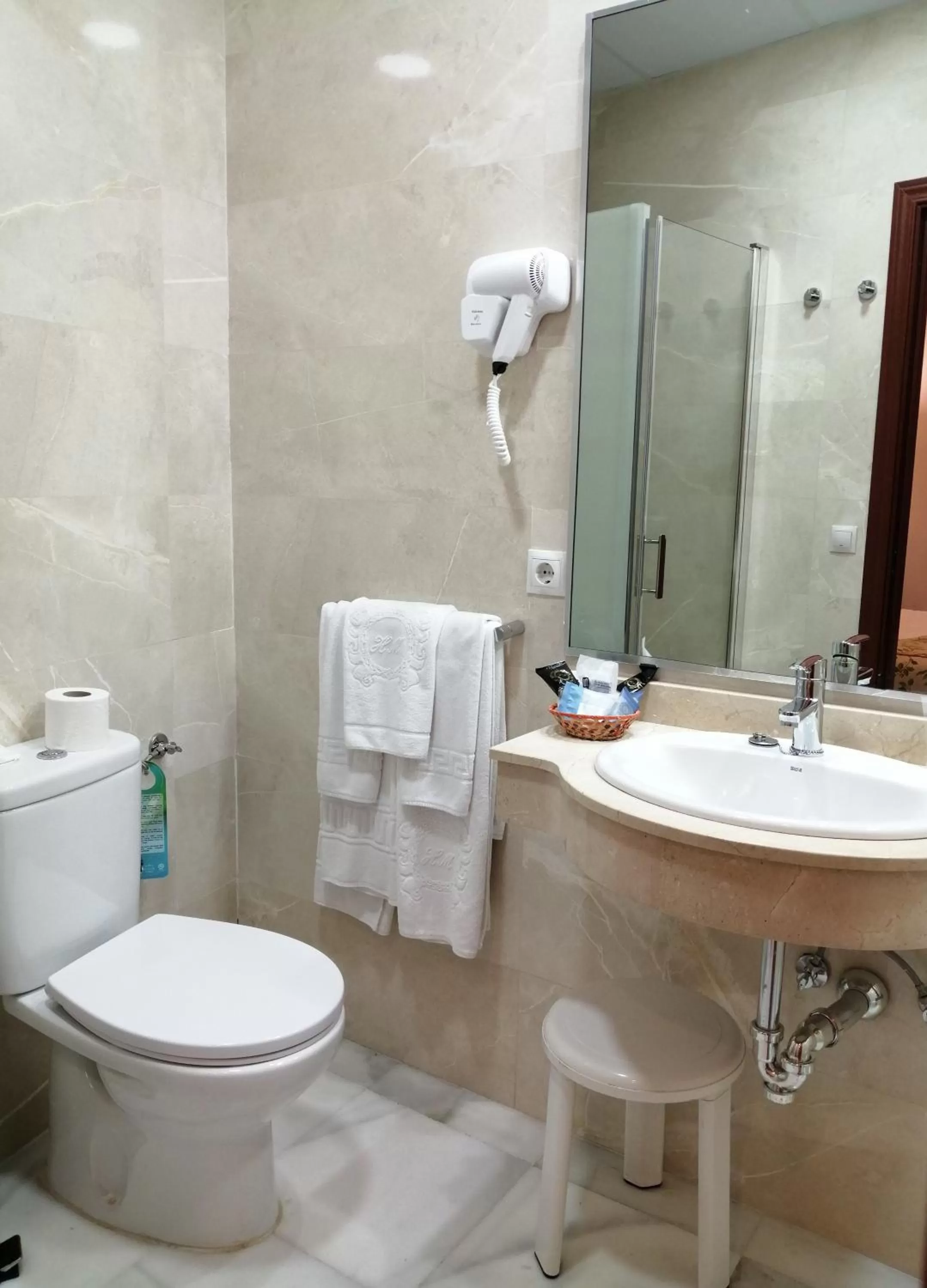 Toilet in Hotel Europa Boutique Sevilla