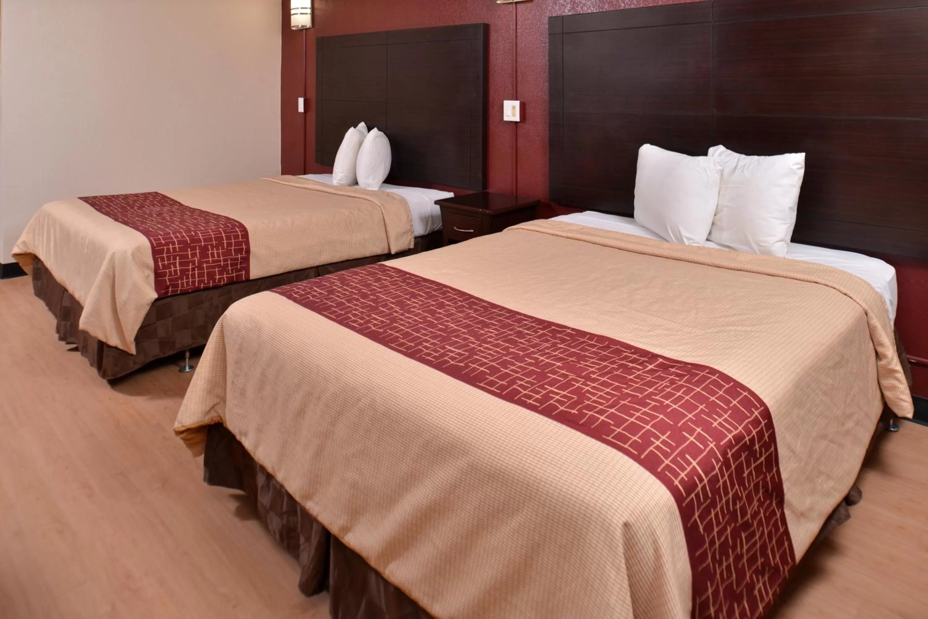 Photo of the whole room, Bed in Red Roof Inn Van Horn