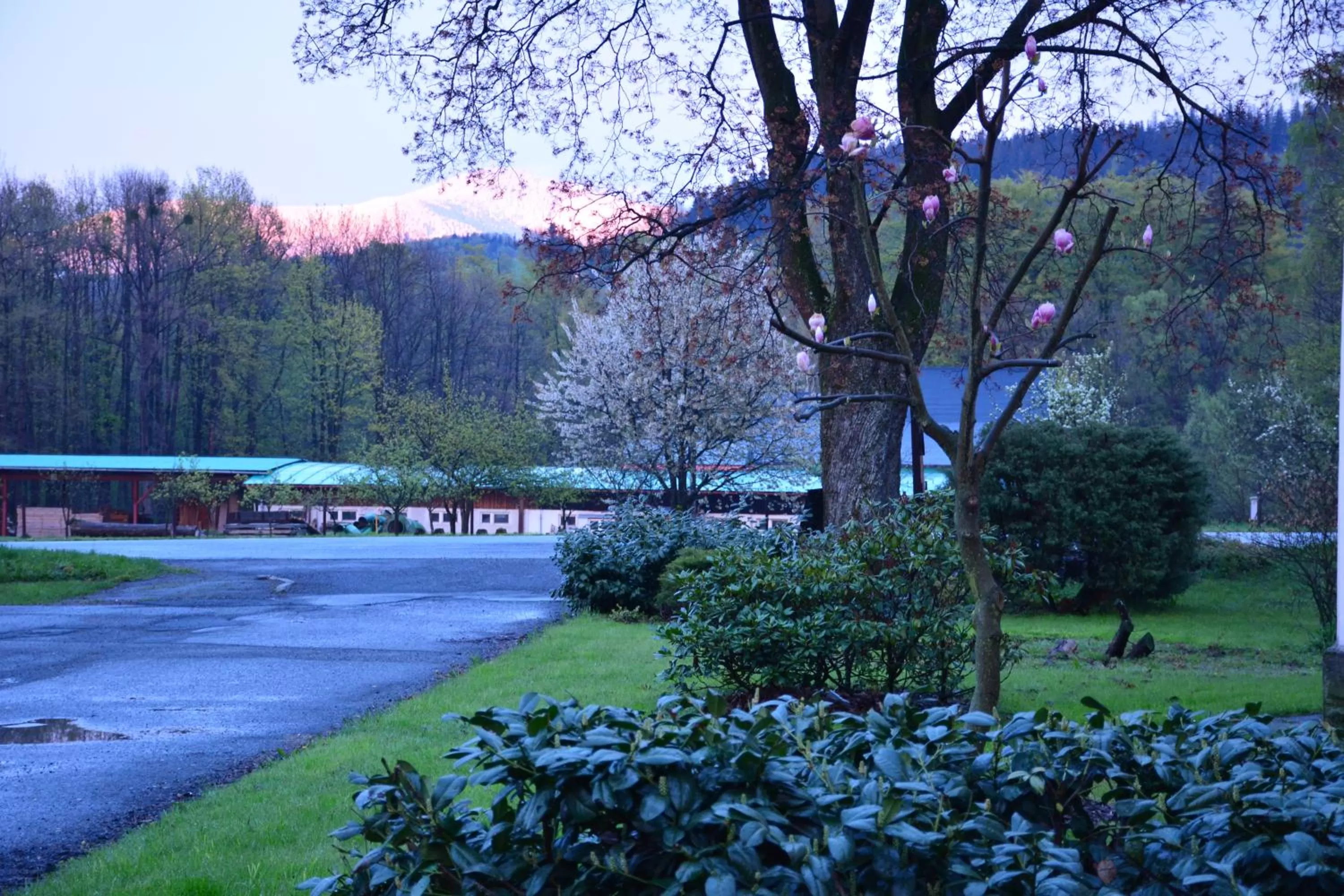 Garden in Hotel Zámeček na Čeladné