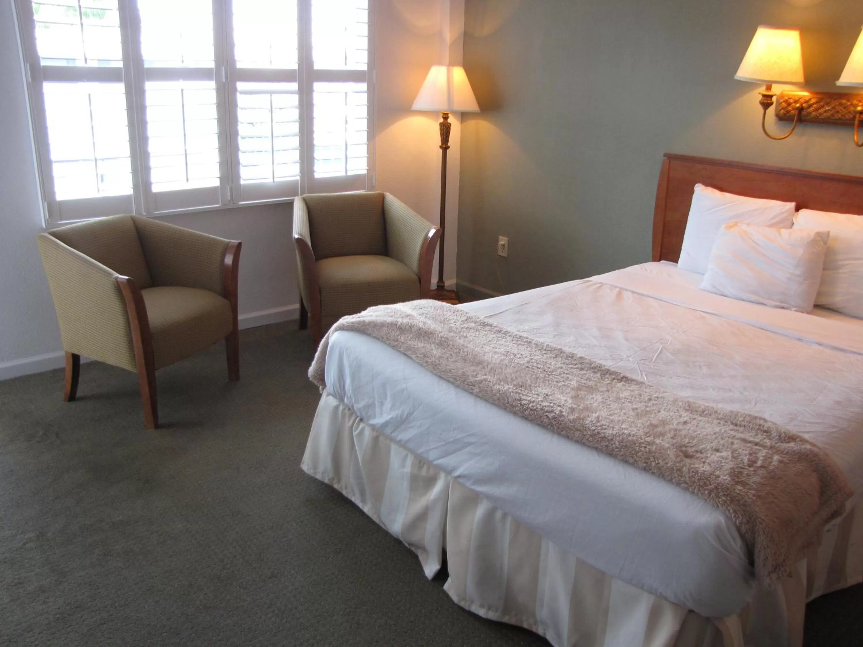 King Room in Blue Marlin Motel